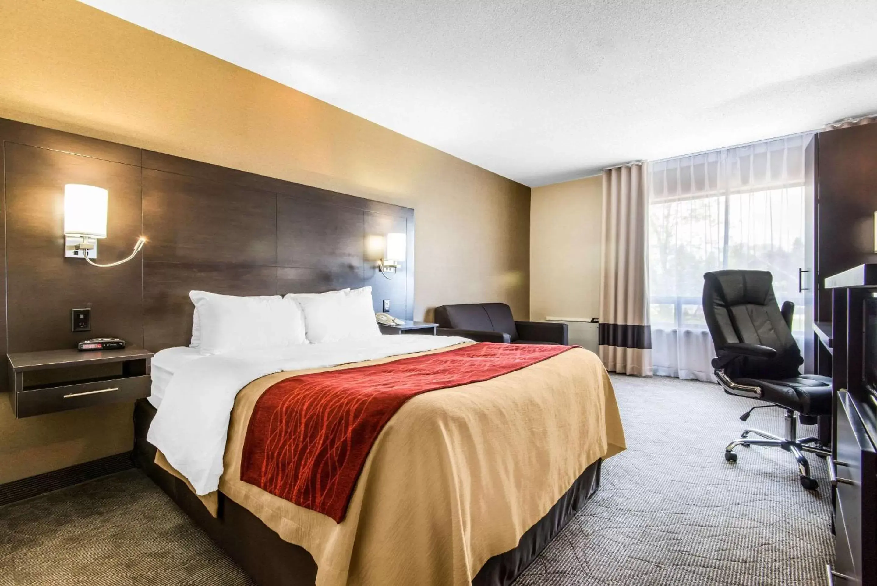 Photo of the whole room, Bed in Comfort Inn Owen Sound