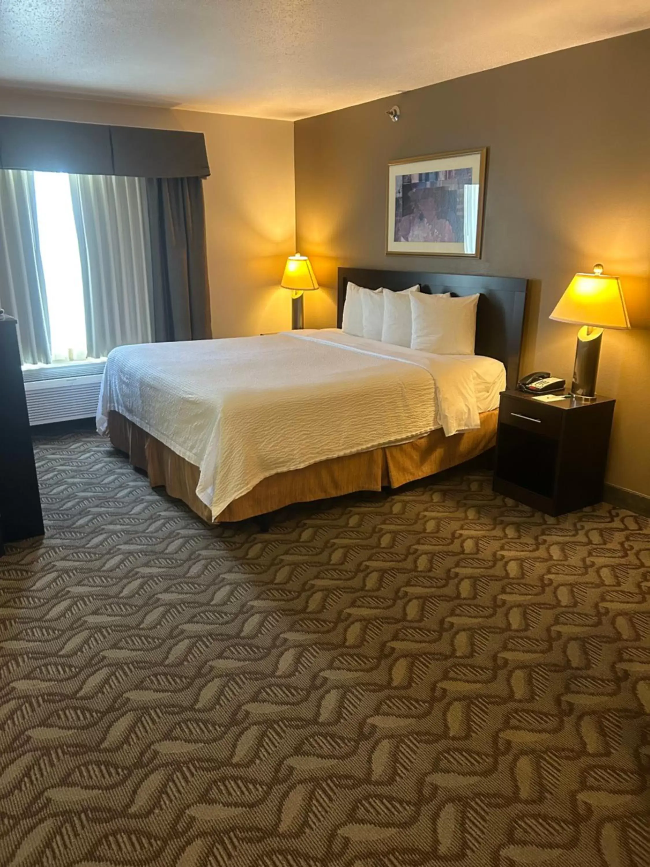 King Room - Disability Access in Wyndham Garden Madison Fitchburg King Room - Disability Access in Wyndham Garden Madison Fitchburg