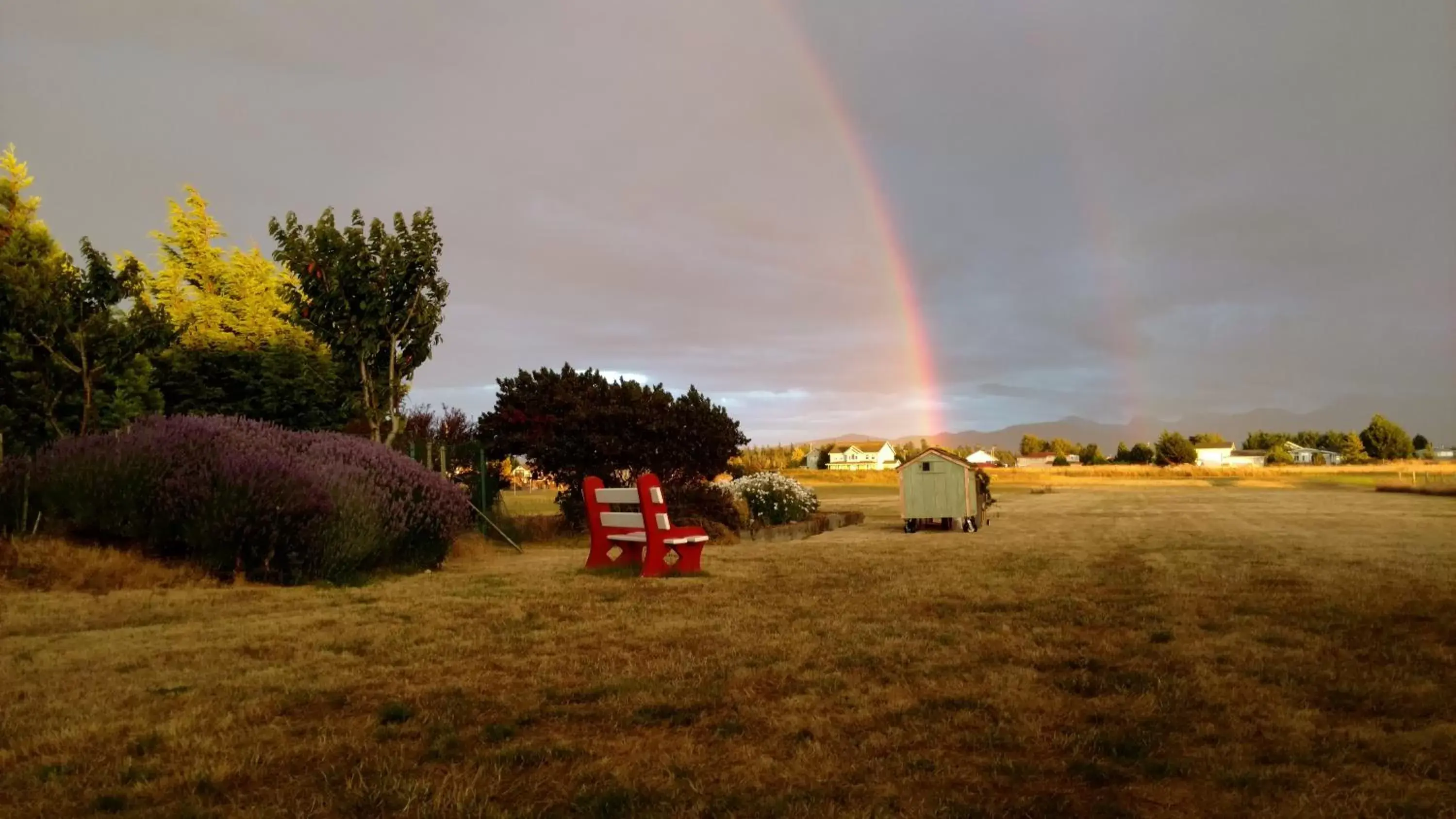 Natural landscape in Greenhouse Inn by the Bay