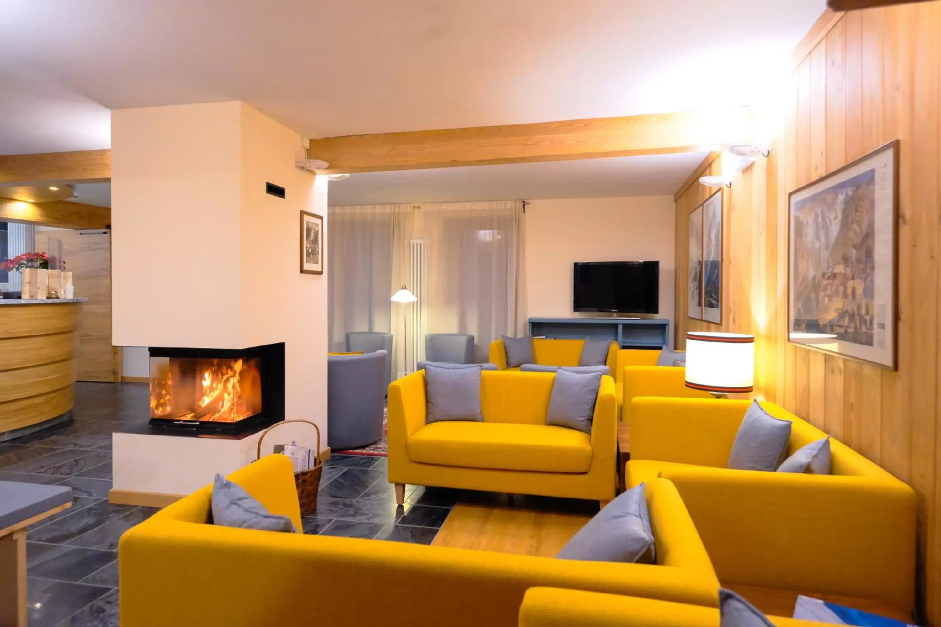 Communal lounge/ TV room, Seating Area in Hotel Aigle