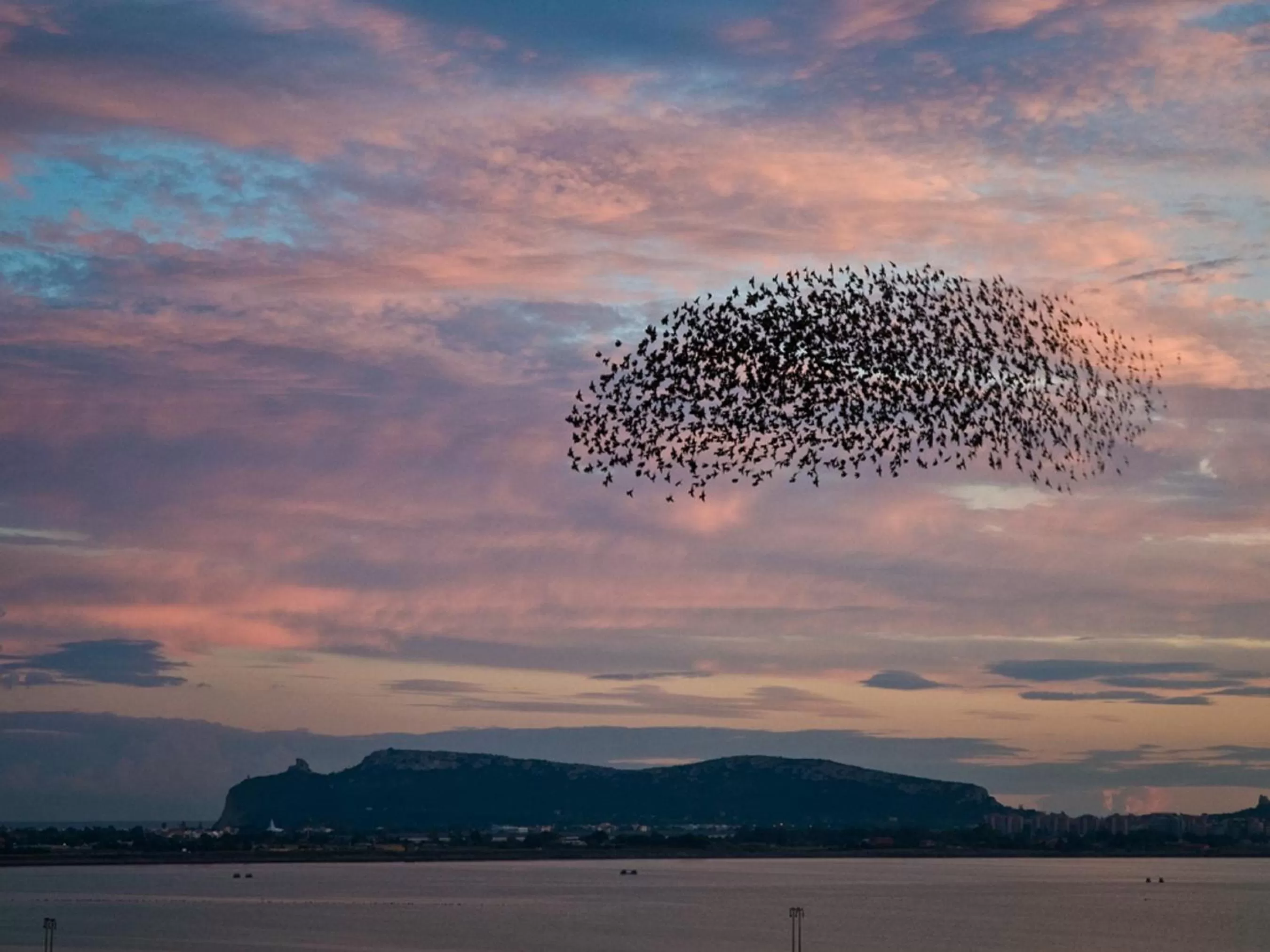 Natural landscape in Hotel Nautilus