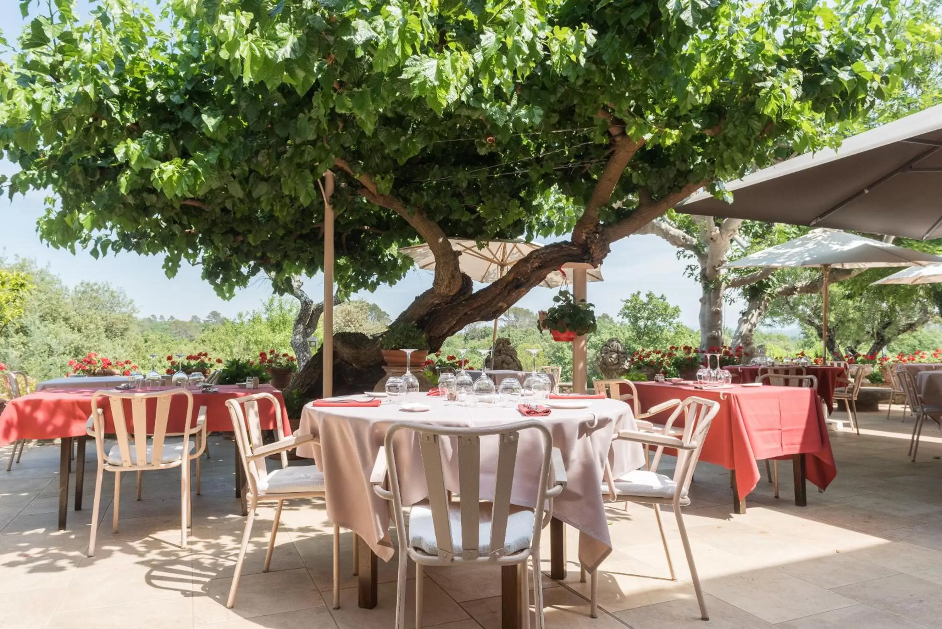 Restaurant/Places to Eat in Domaine du Lac