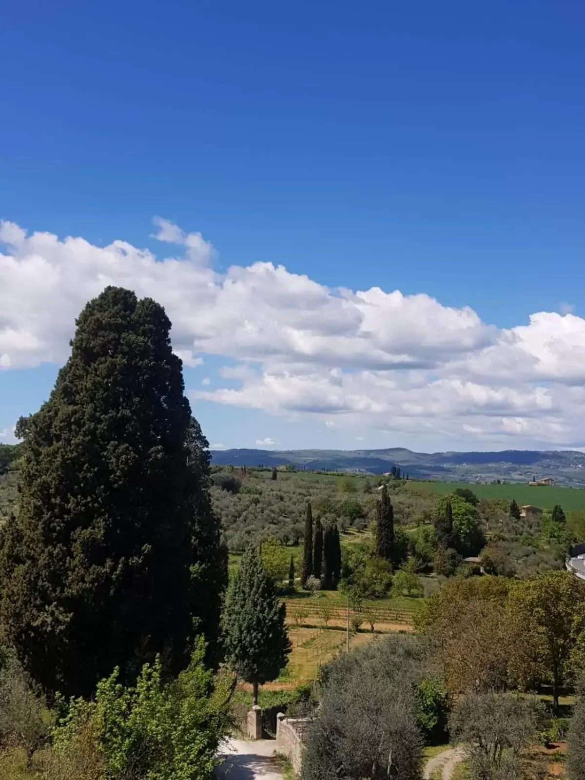 Natural landscape in Palazzetto del Pittore