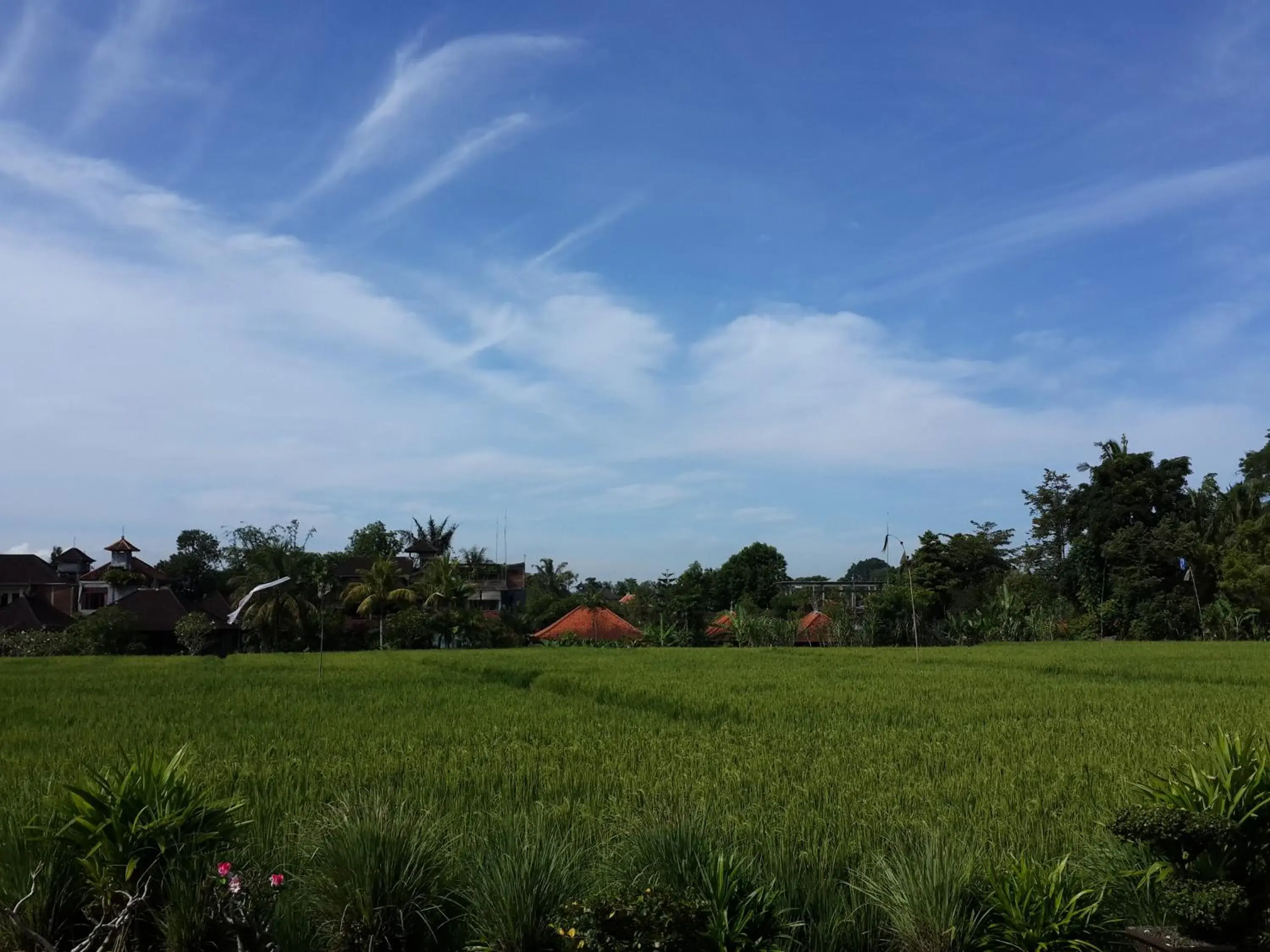 Bird's eye view in Kun - Kun Guest House Ubud Bird's eye view in Kun - Kun Guest House Ubud