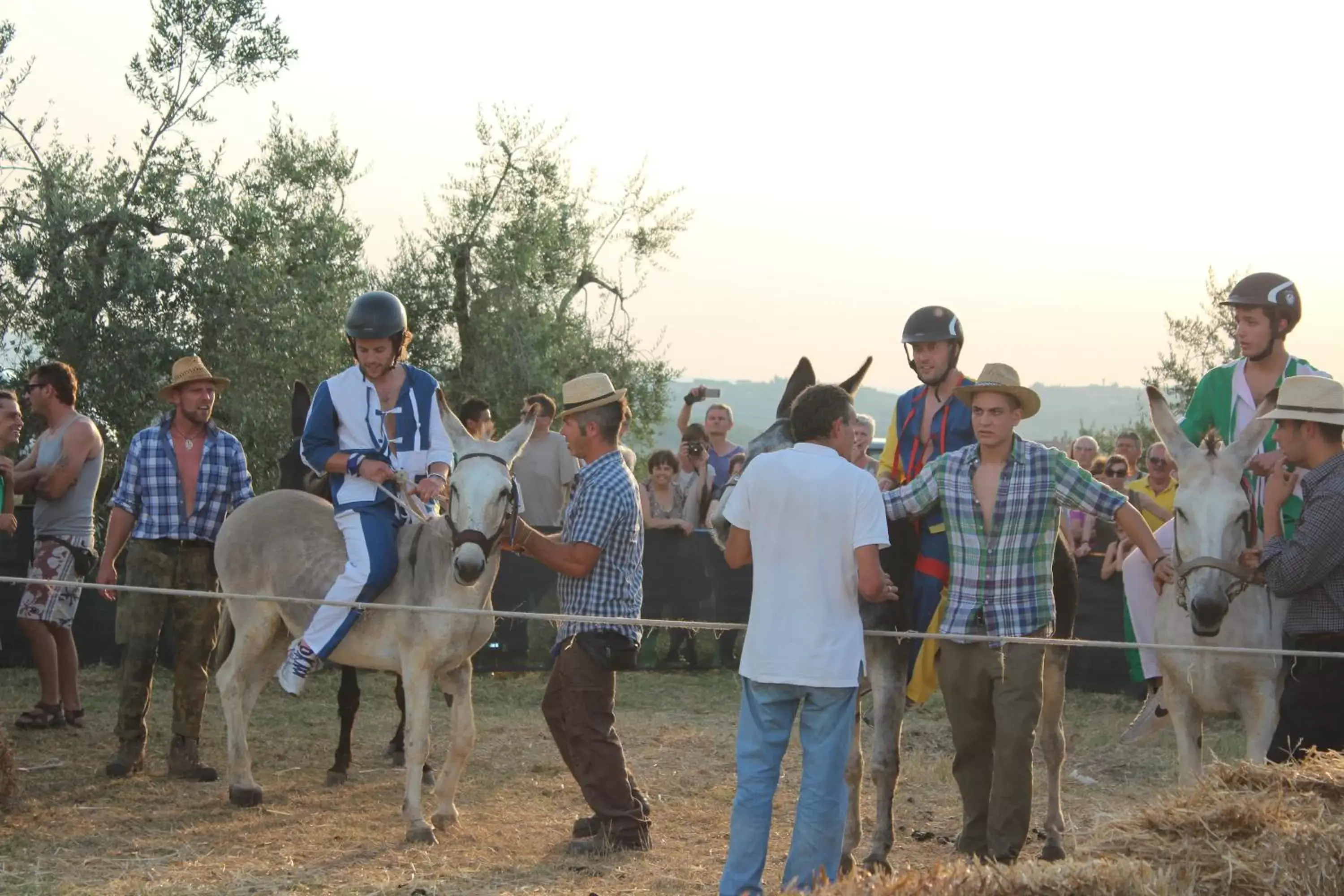 Activities in Le Terrazze Del Chianti