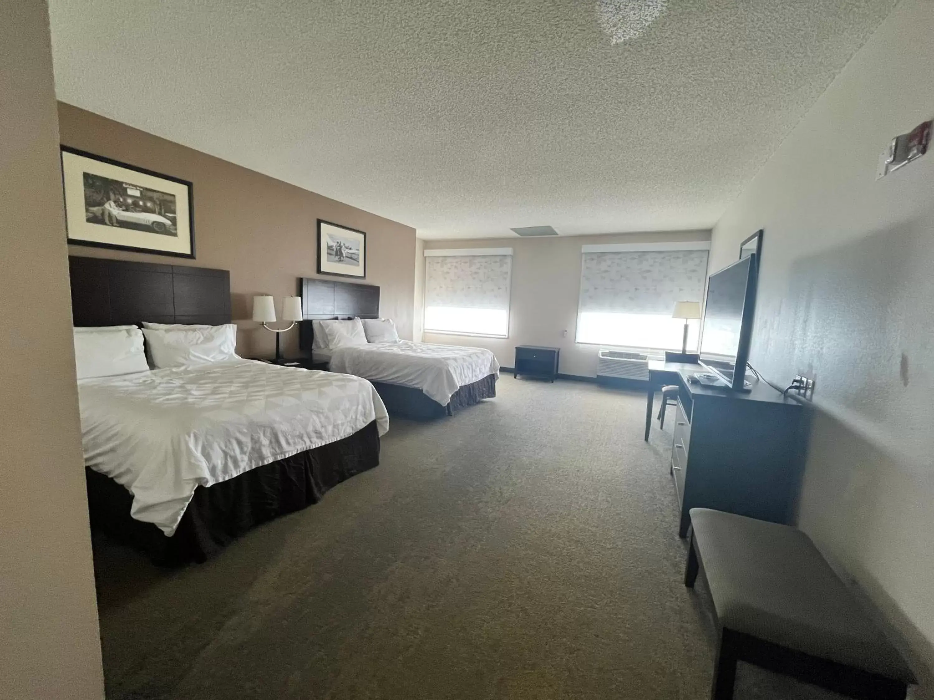 Bedroom, Bed in Holiday Inn Louisville Airport - Fair/Expo, an IHG Hotel