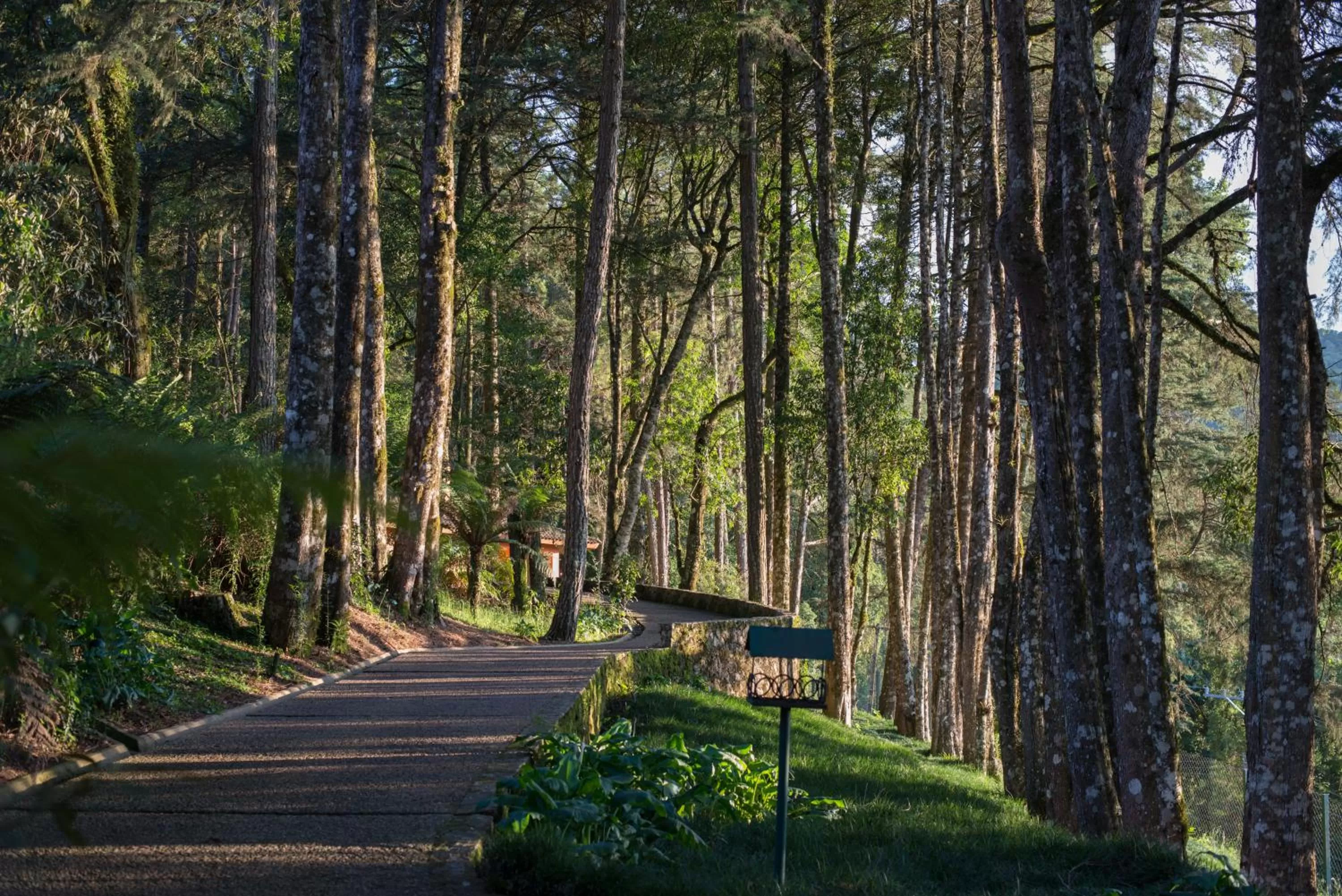 Garden in Kuriuwa Hotel