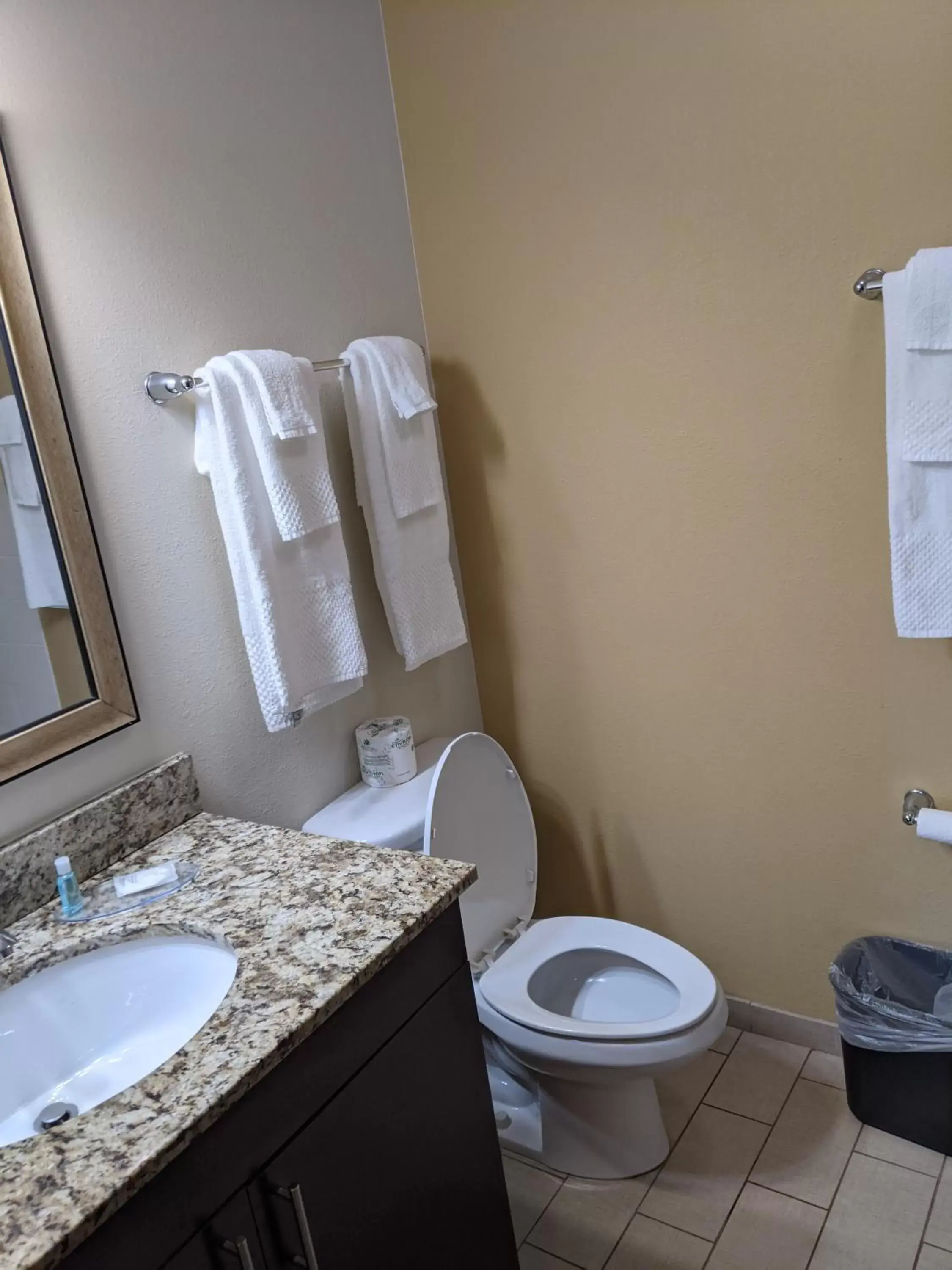 Bathroom in MainStay Suites Cartersville