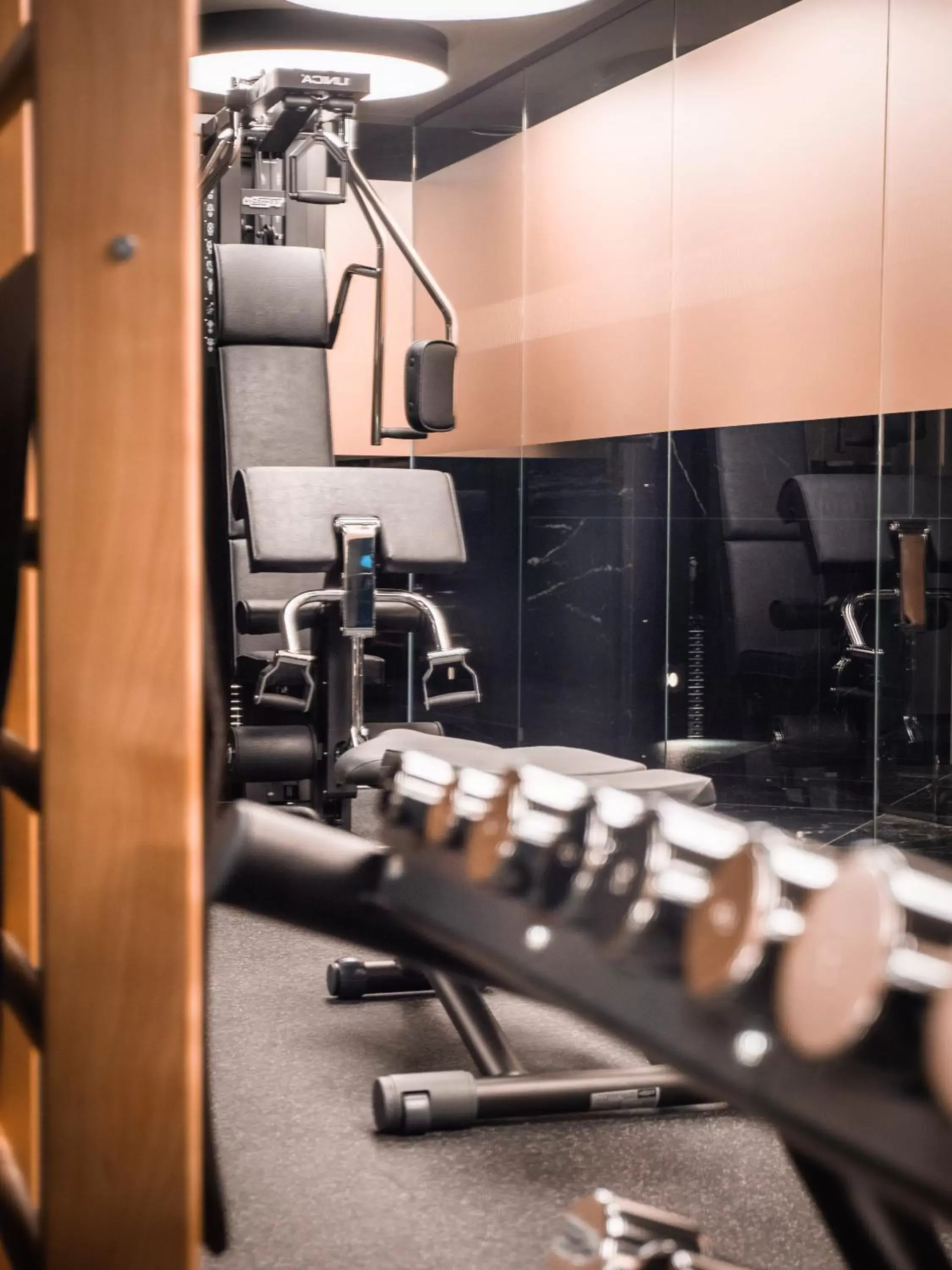 Fitness centre/facilities, Fitness Center/Facilities in Hotel Pacai, Vilnius, a Member of Design Hotels