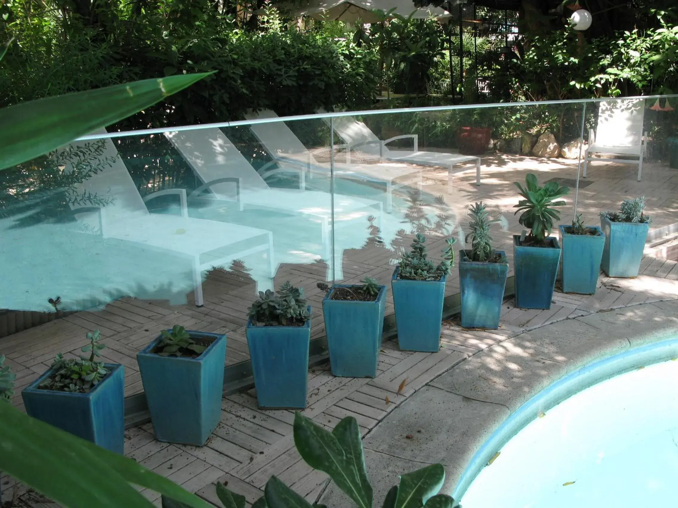 Swimming Pool in Le Windsor, Jungle Art Hotel