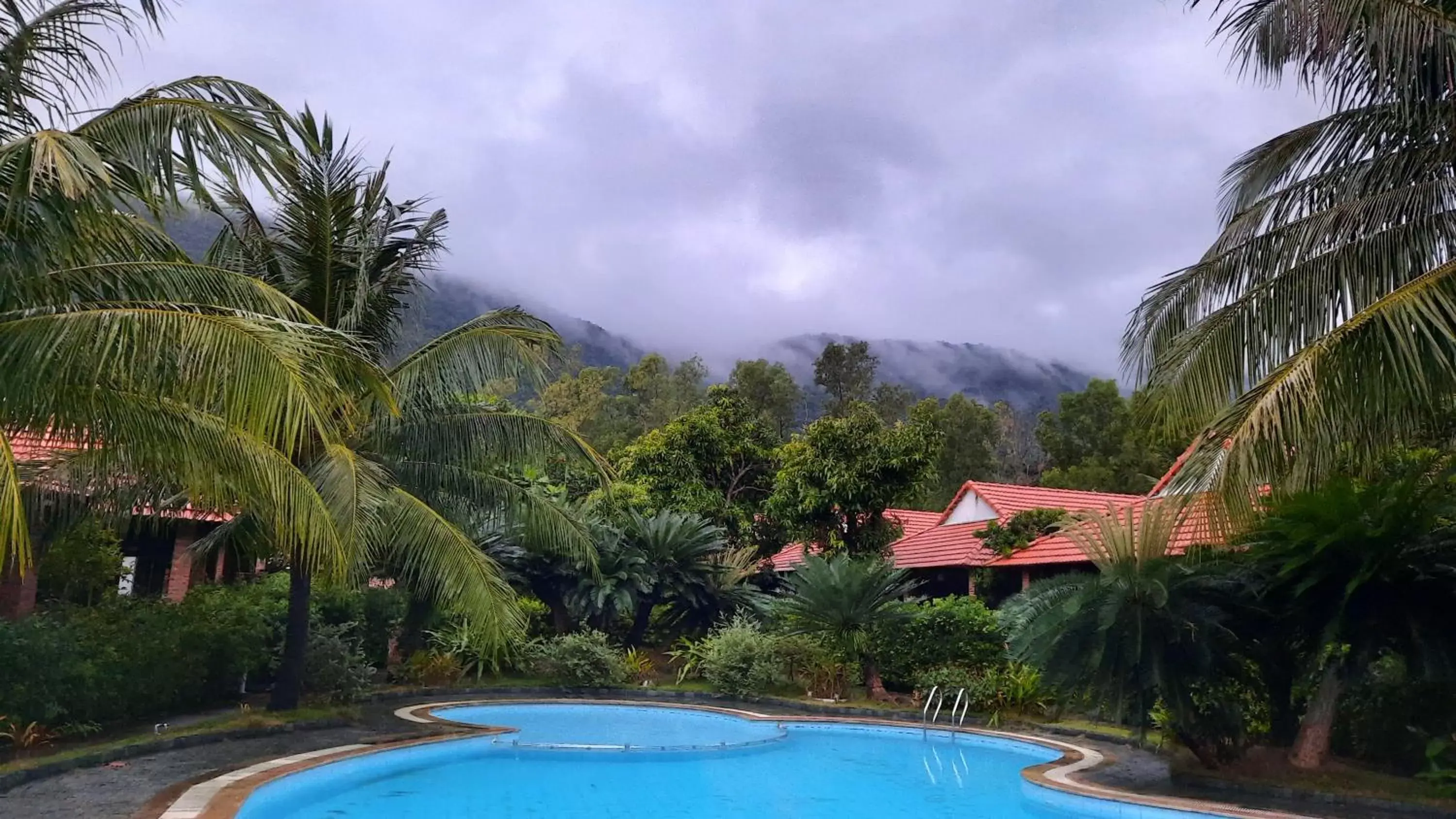 Pool view, Swimming Pool in Wildland Resort