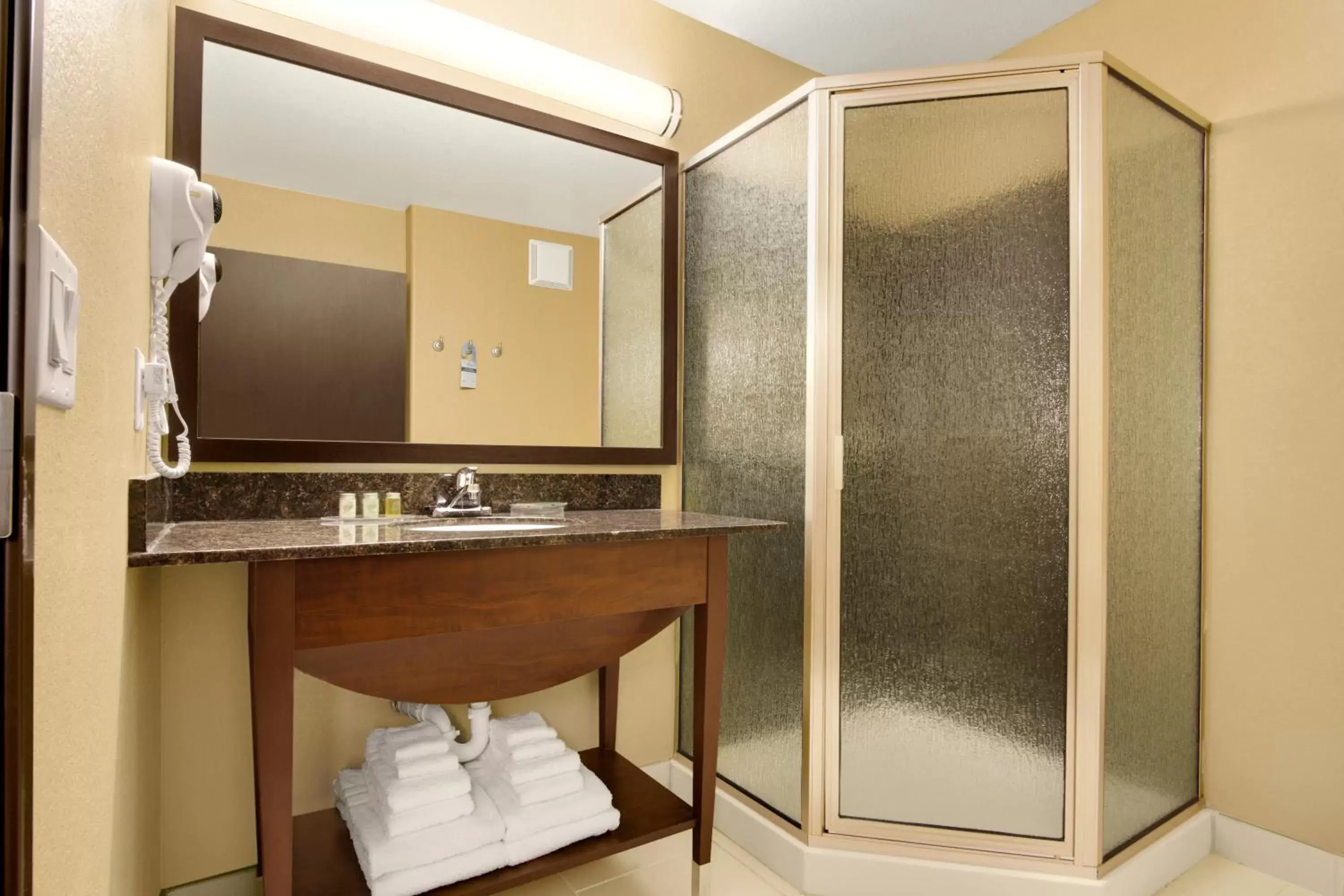 Bathroom in Microtel Inn & Suites by Wyndham Round Rock