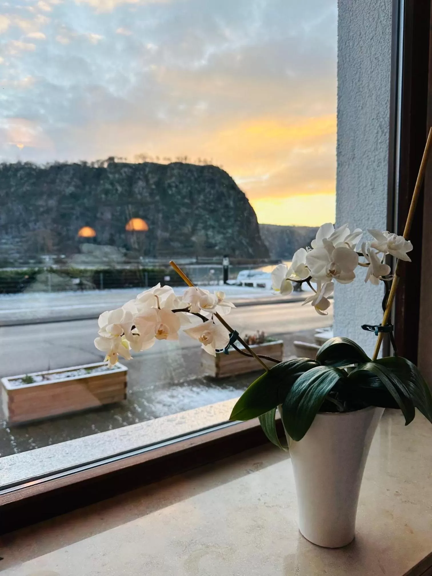 View (from property/room) in Hotel Cafe Restaurant Loreleyblick