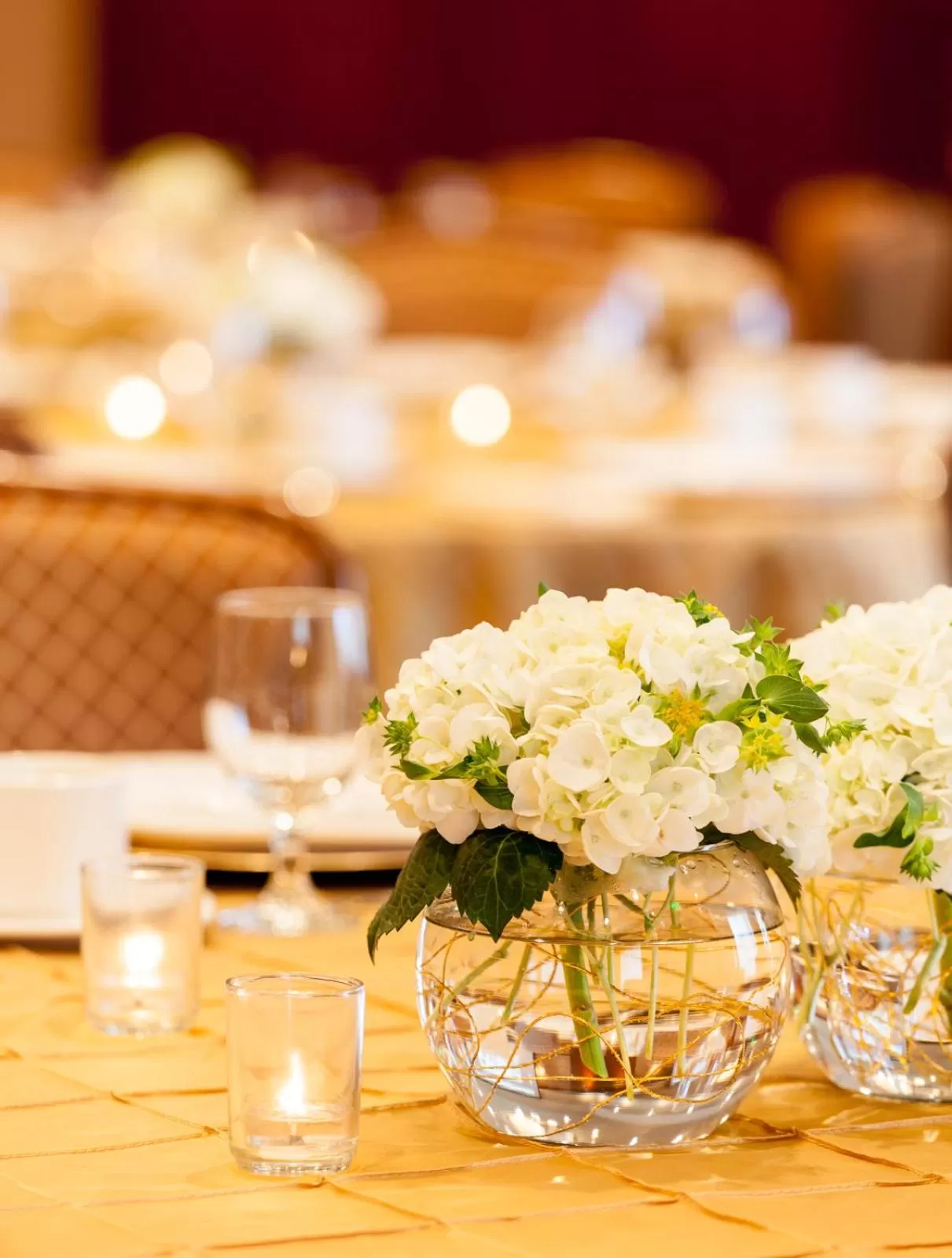 Banquet/Function facilities in Ann Arbor Regent Hotel and Suites