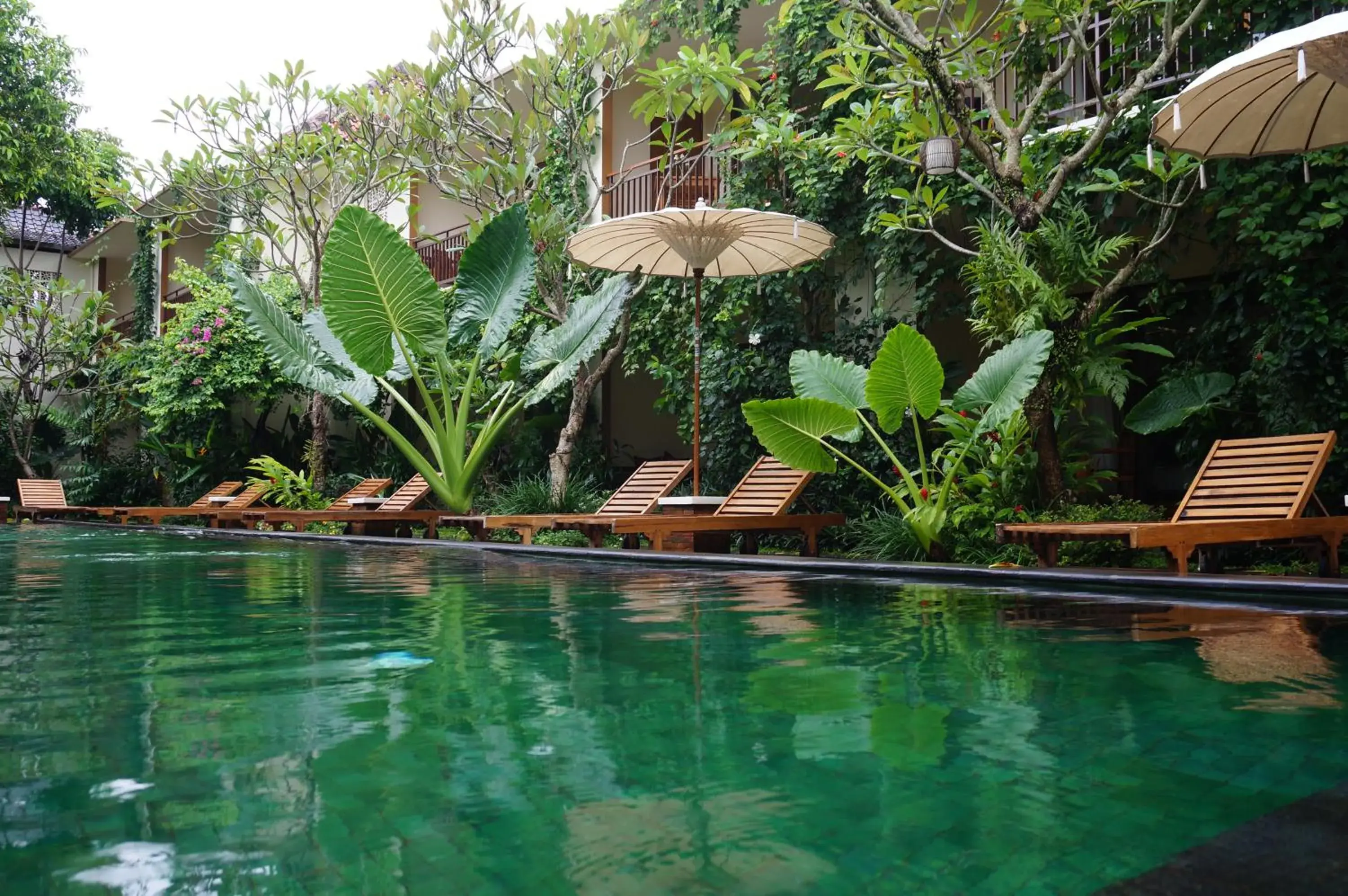 Swimming Pool in Sapodilla Ubud