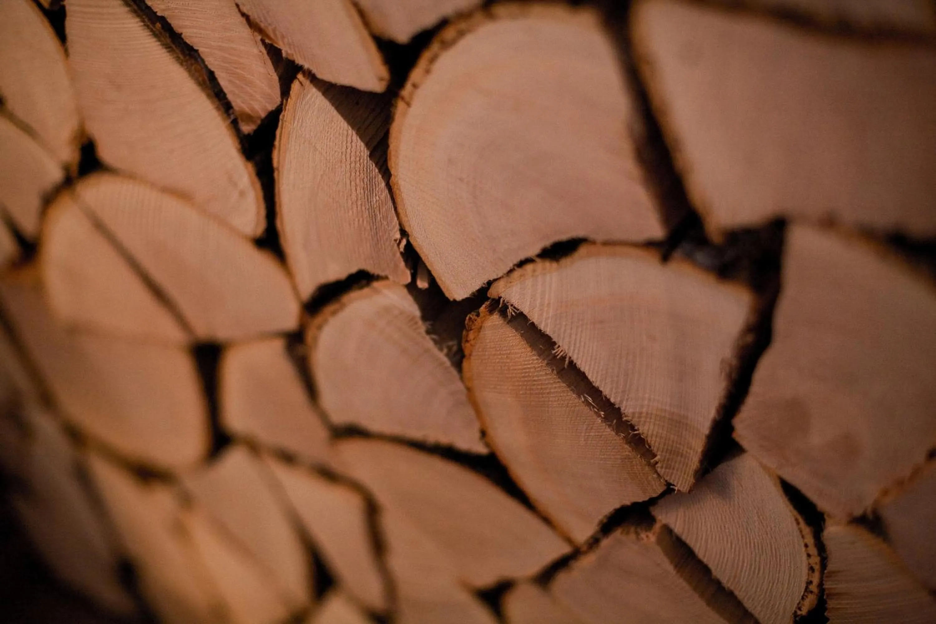 Restaurant/places to eat in Arosa Vetter Hotel