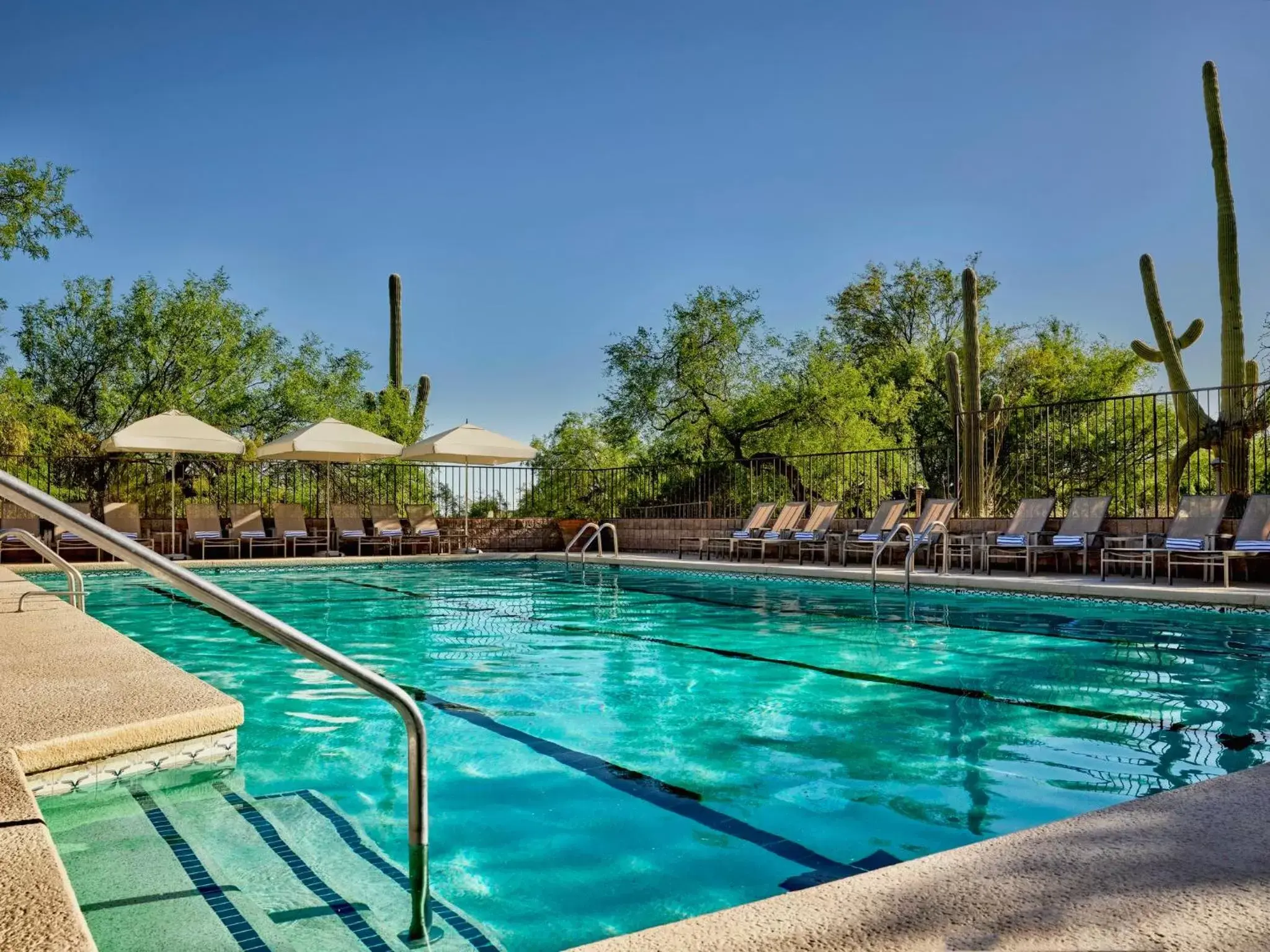 Spa and wellness centre/facilities, Swimming Pool in Loews Ventana Canyon Resort