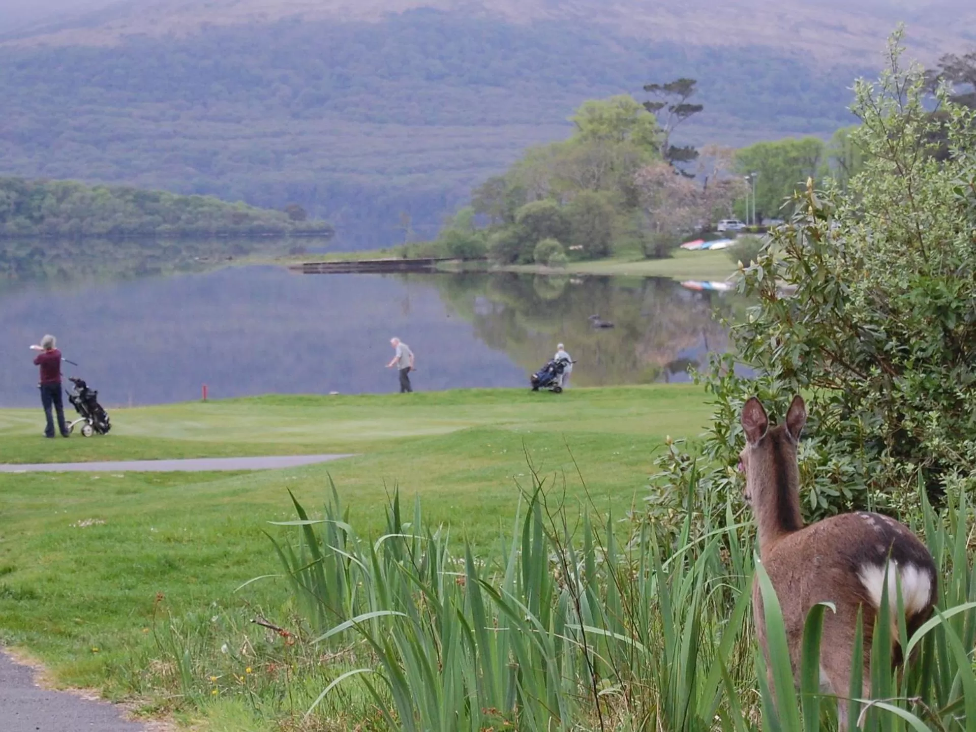 Fishing in Crystal Springs B&B