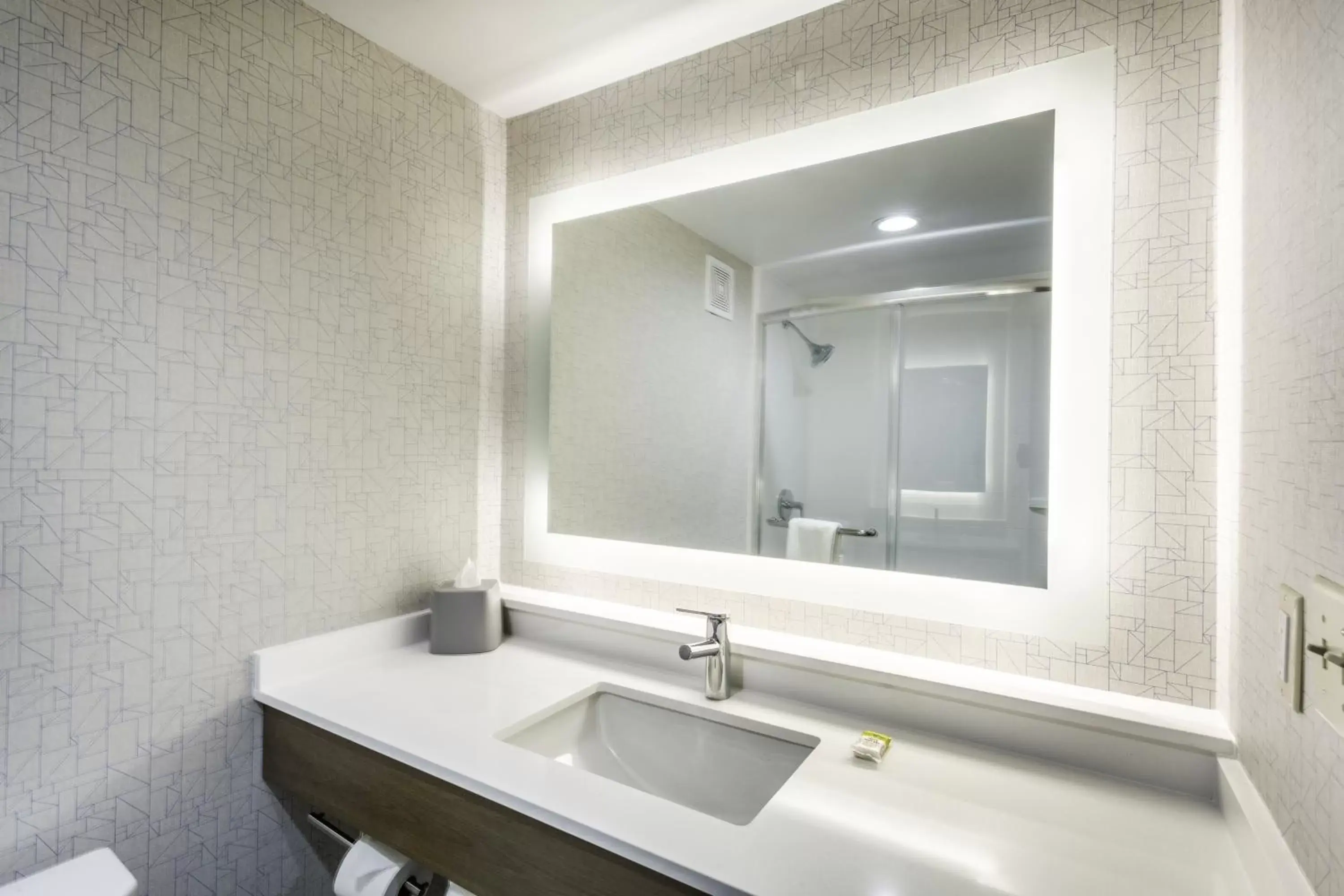 Bathroom in Holiday Inn Express Hopewell - Fort Lee Area, an IHG Hotel