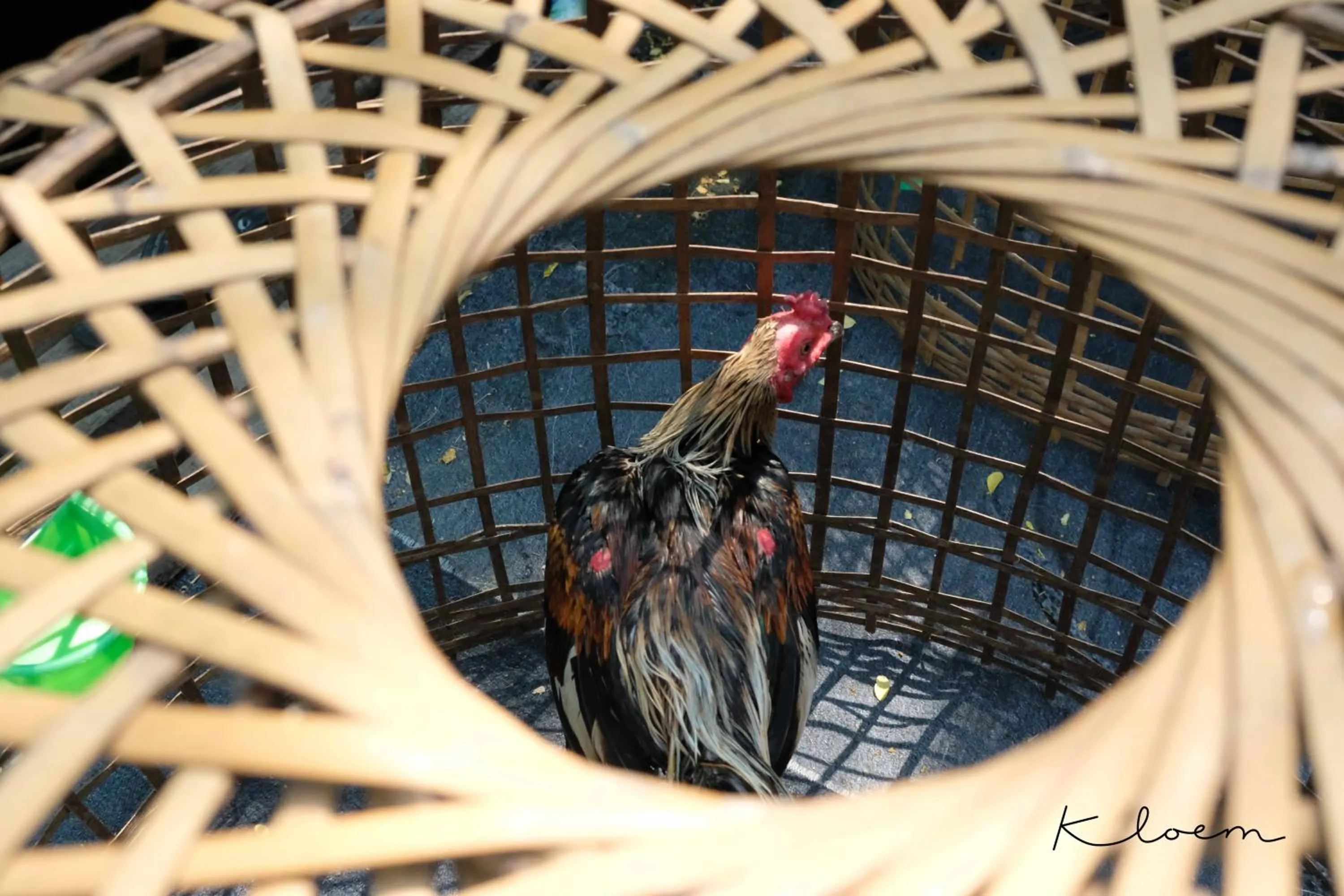 Neighbourhood in Kloem Hostel