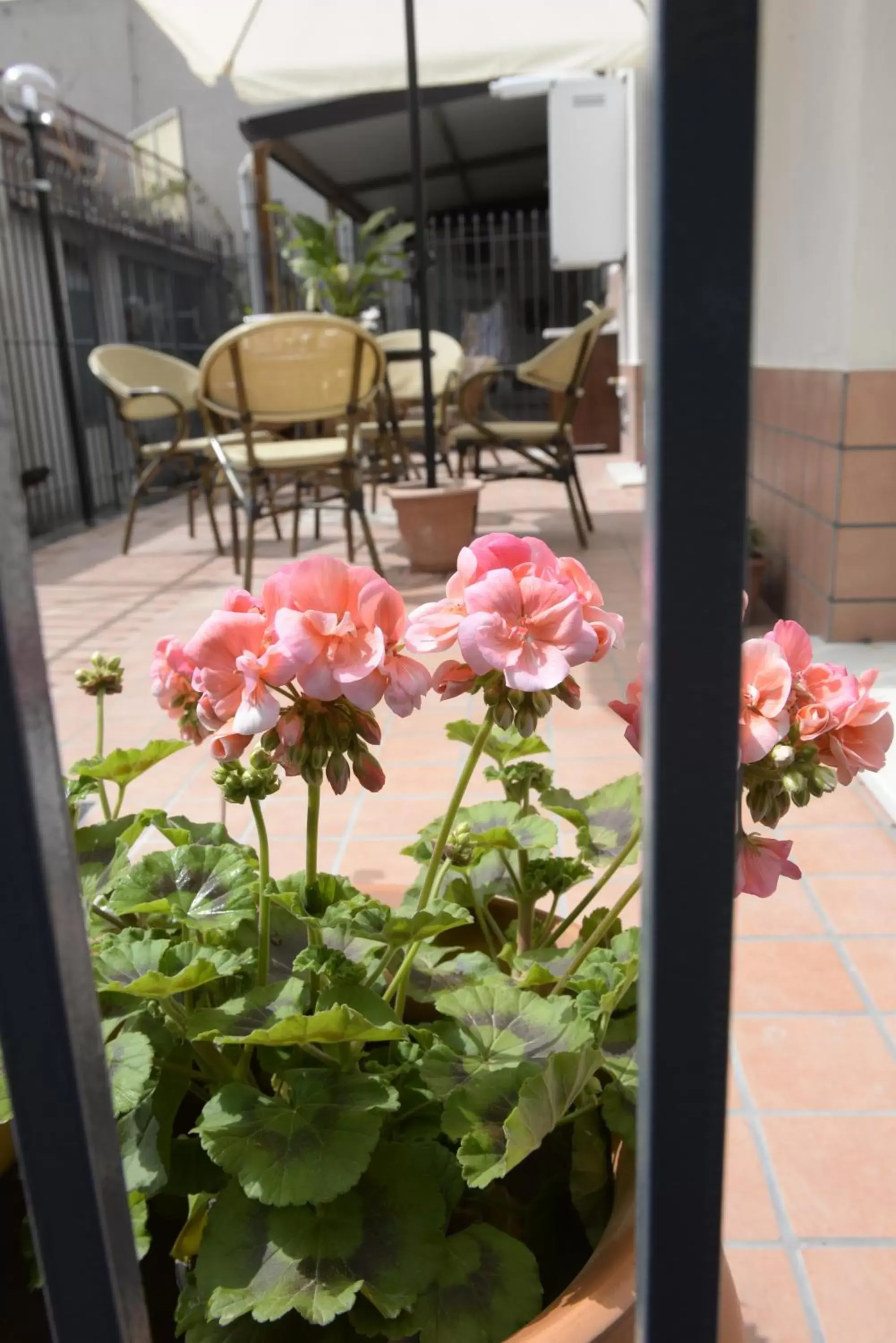 Seating area in B&B San Leonardo