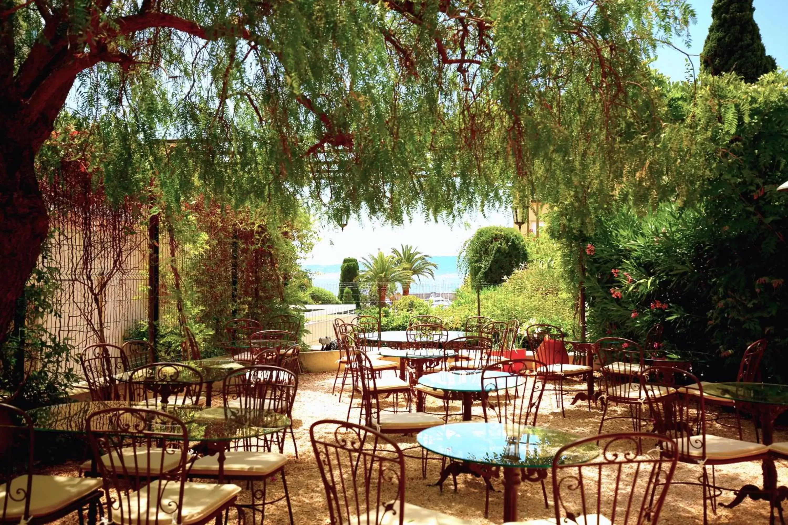 Garden, Restaurant/Places to Eat in Hotel Royal Bon Repos