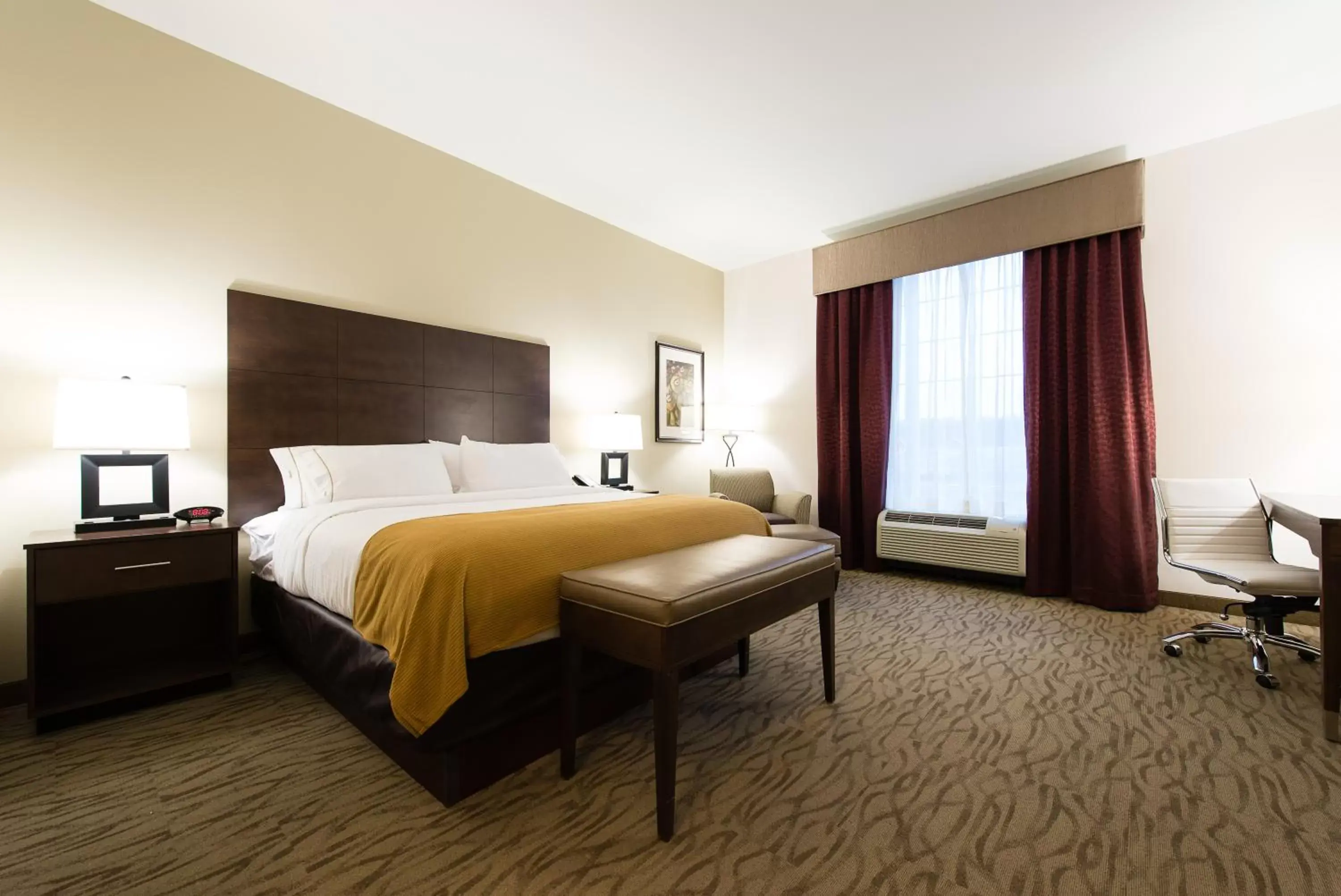 Photo of the whole room, Bed in Holiday Inn Express & Suites Aiken, an IHG Hotel