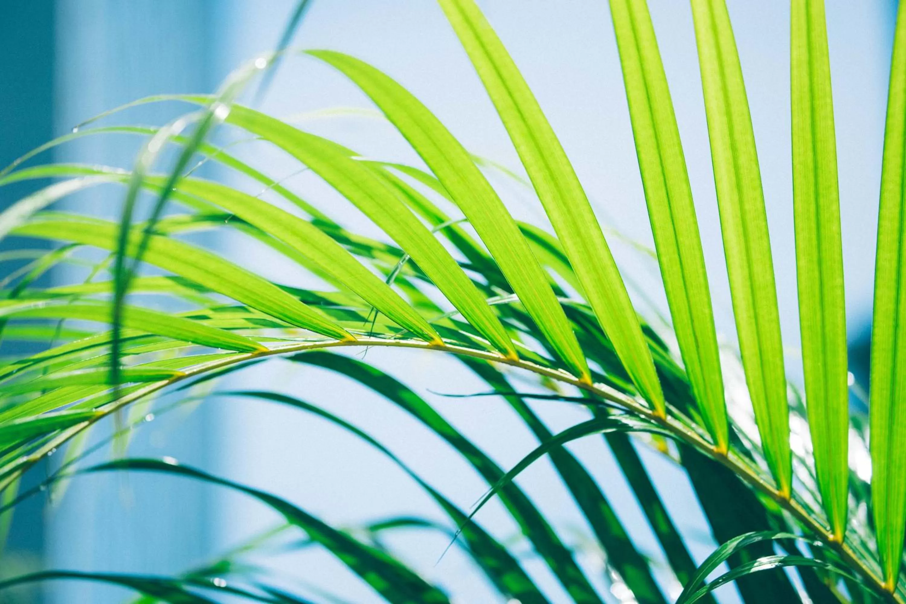 Day in Hotel Noum OSAKA