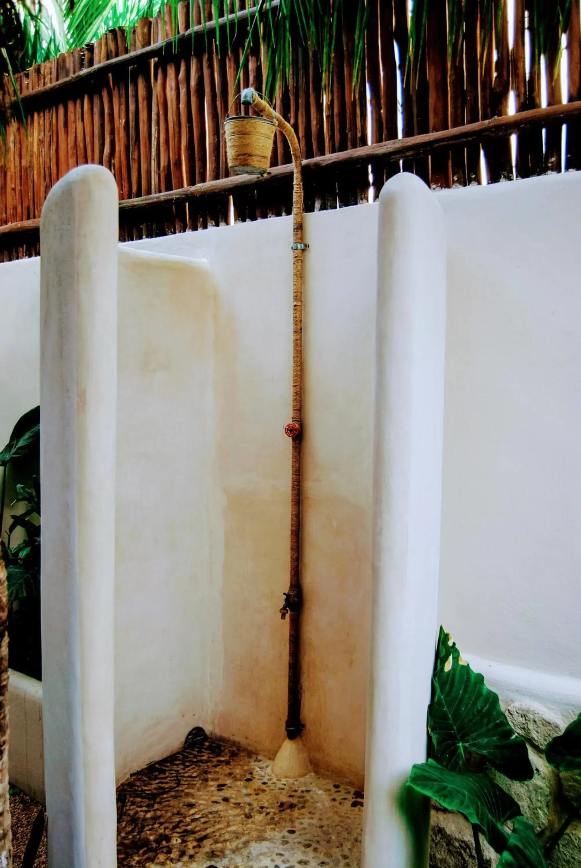 Shower, Bathroom in Hotel Boutique TerraNova