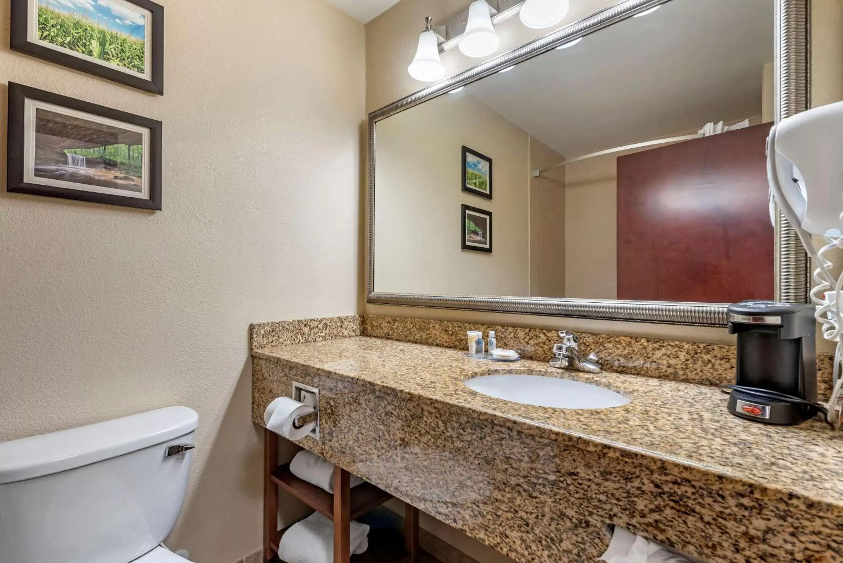 Bathroom in Comfort Inn & Suites Muncie