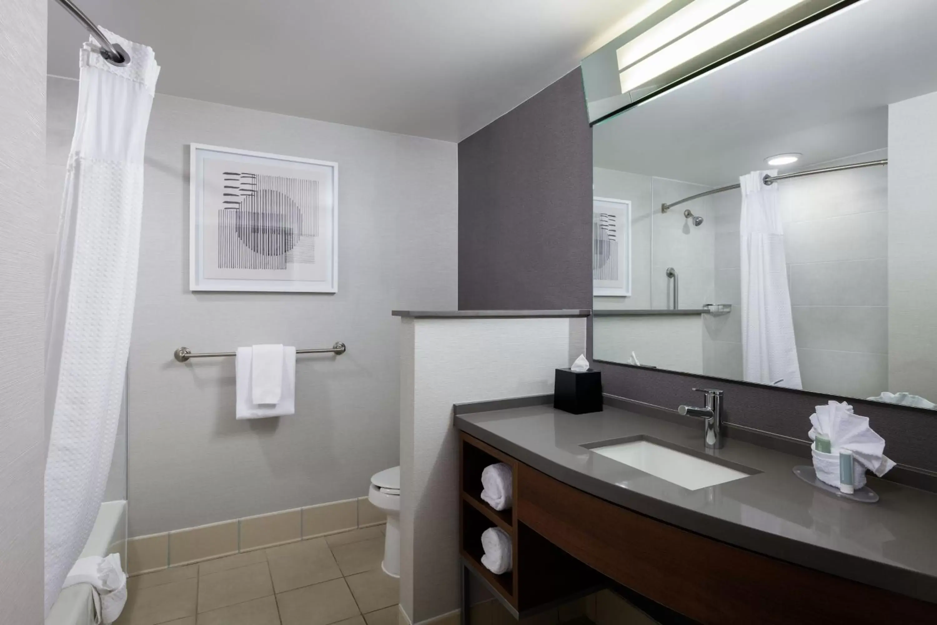Bathroom in Courtyard by Marriott Wichita at Old Town