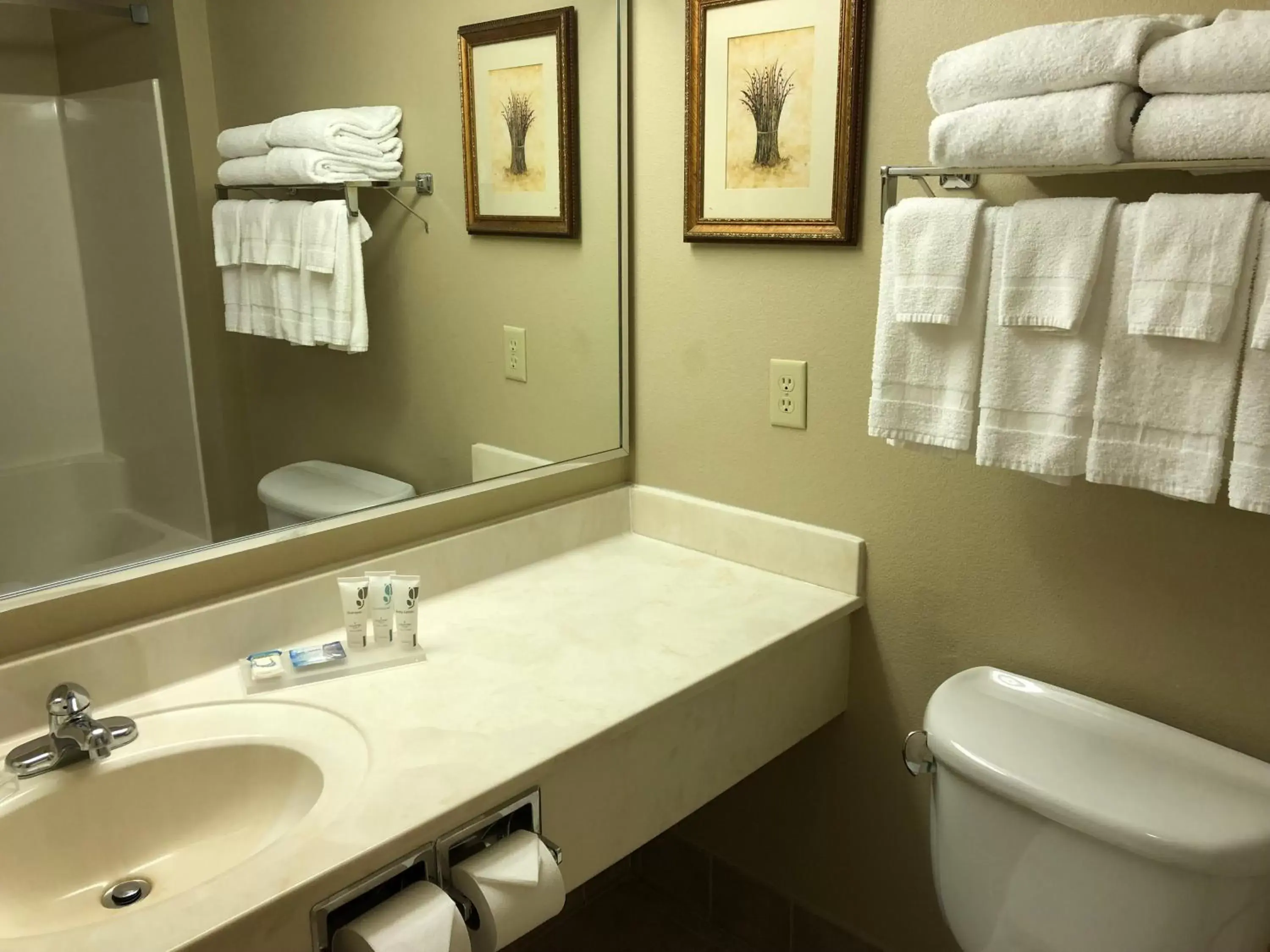 Bathroom in AmericInn by Wyndham Iron Mountain