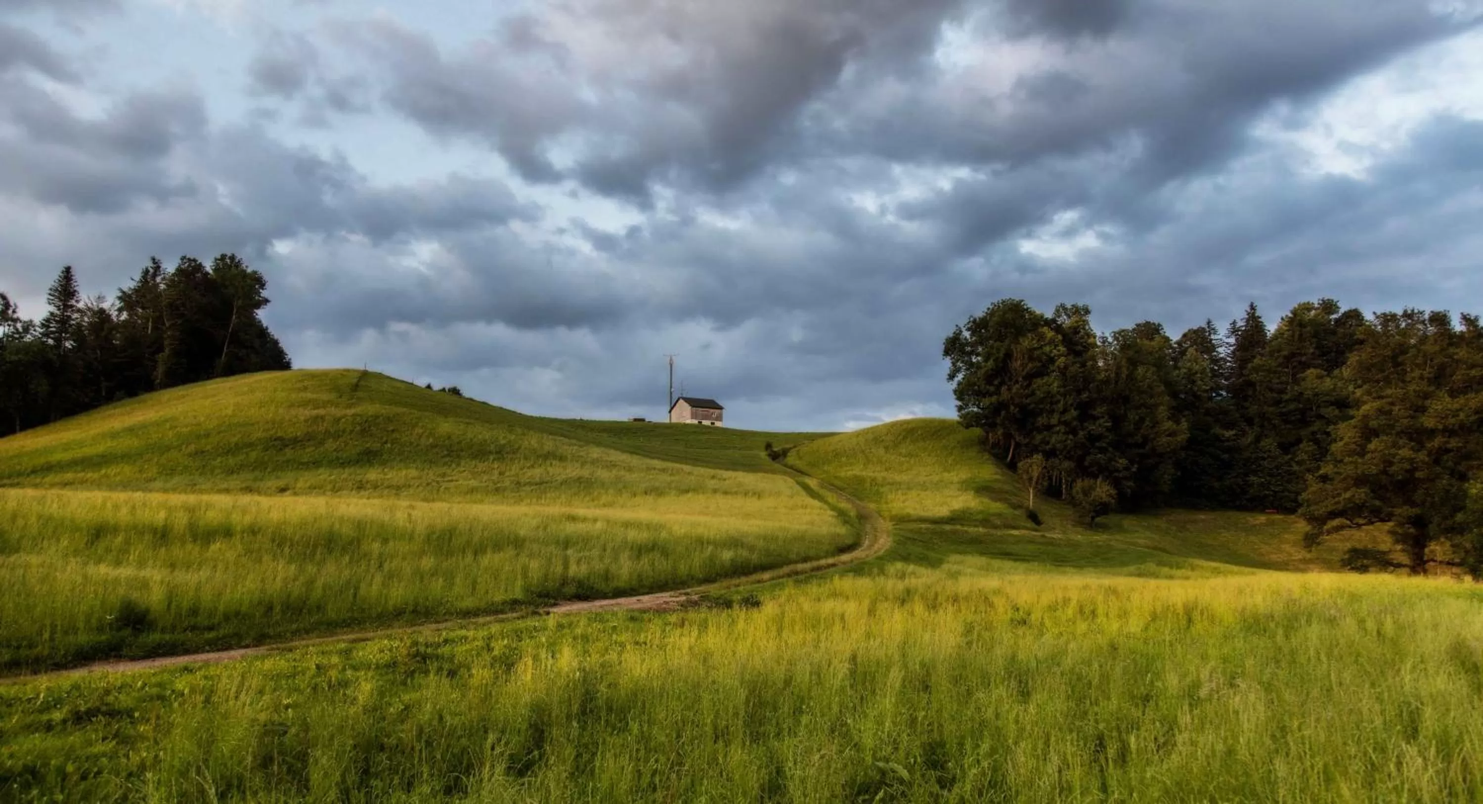 Natural landscape in Hotel St Hubertus