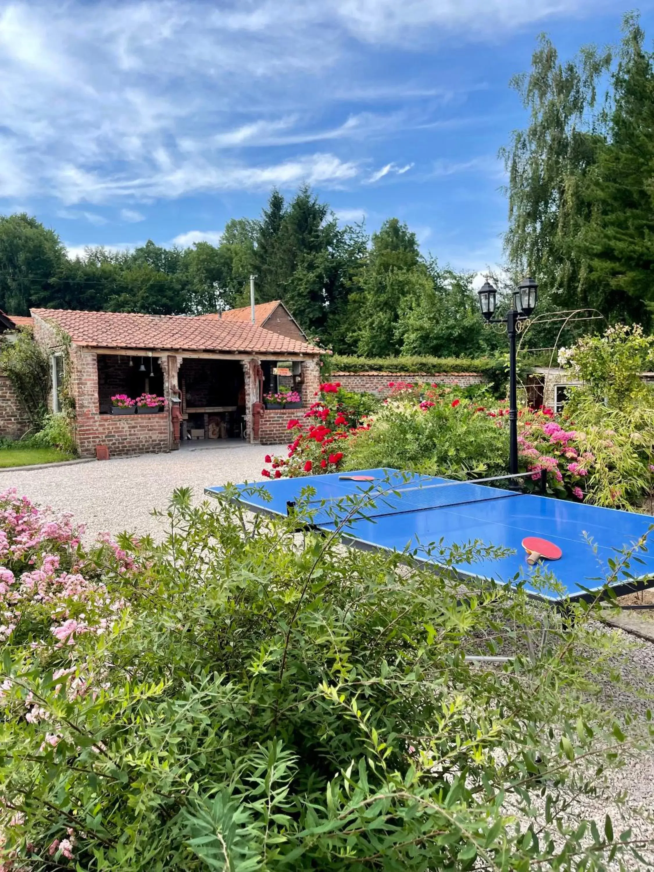 Garden, Swimming Pool in La Mésangeraie Gîte Chambres d'hôtes