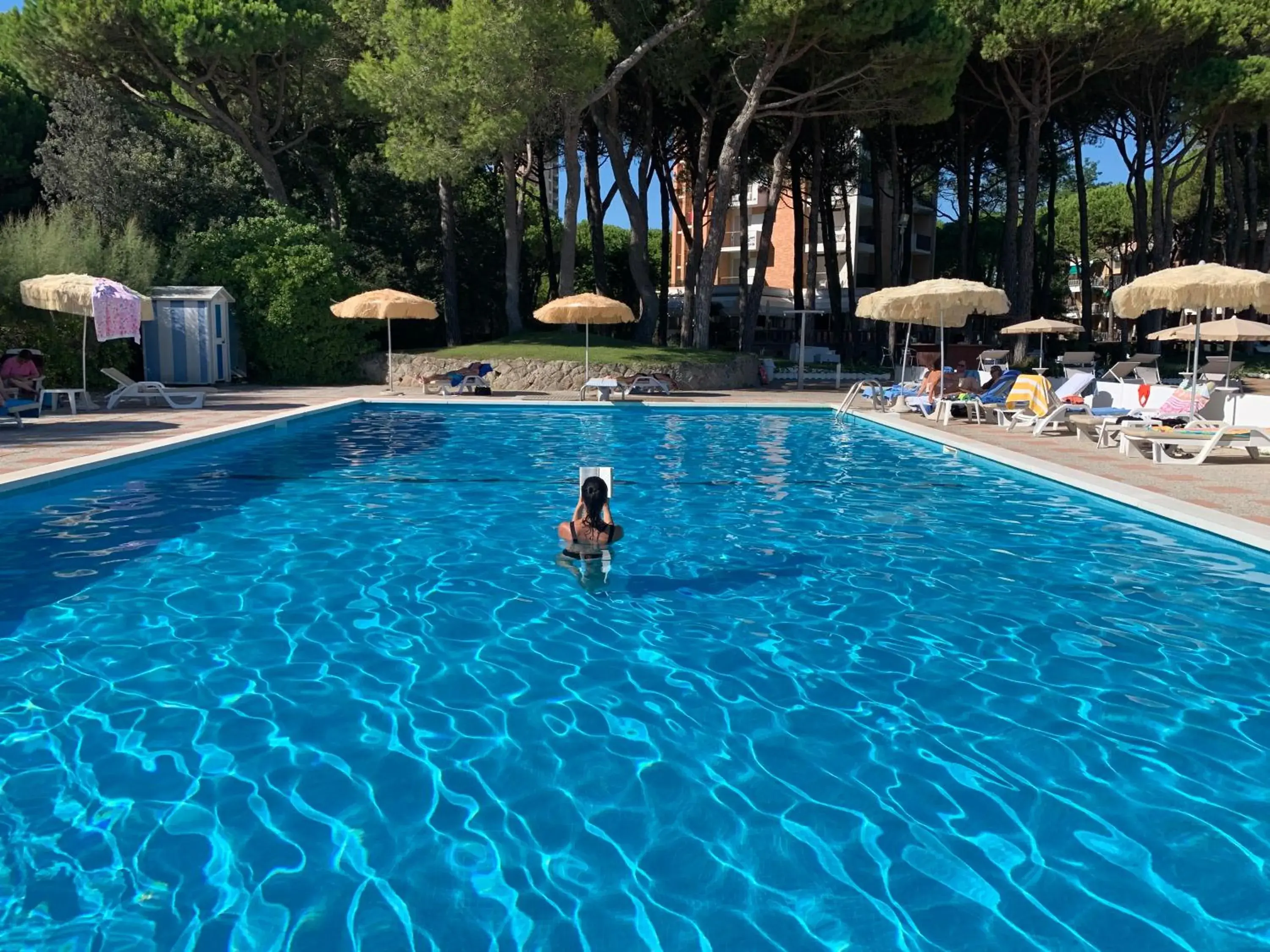 Natural landscape, Swimming Pool in Hotel Beau Rivage Pineta