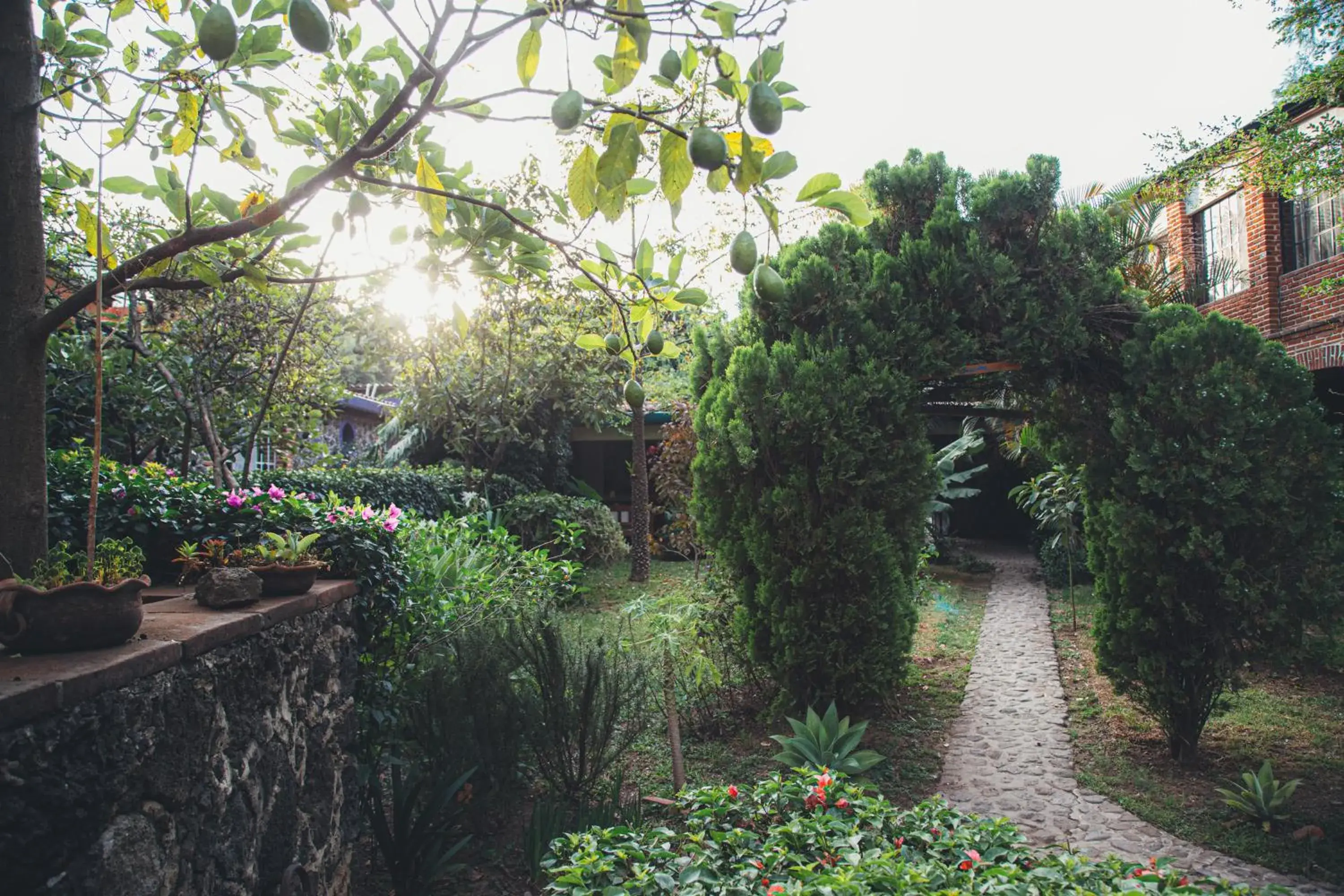 Natural landscape, Garden in Hotel La Posada del Valle