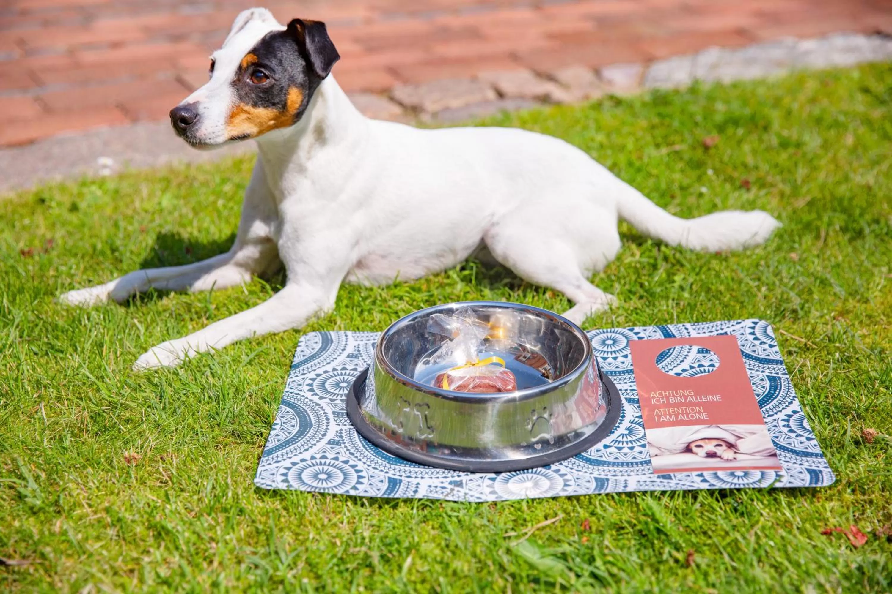 People in Stadthotel Eckernförde