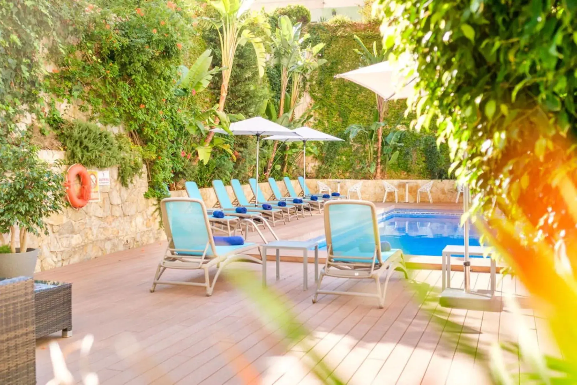 Garden view, Swimming Pool in Hotel Agua Beach