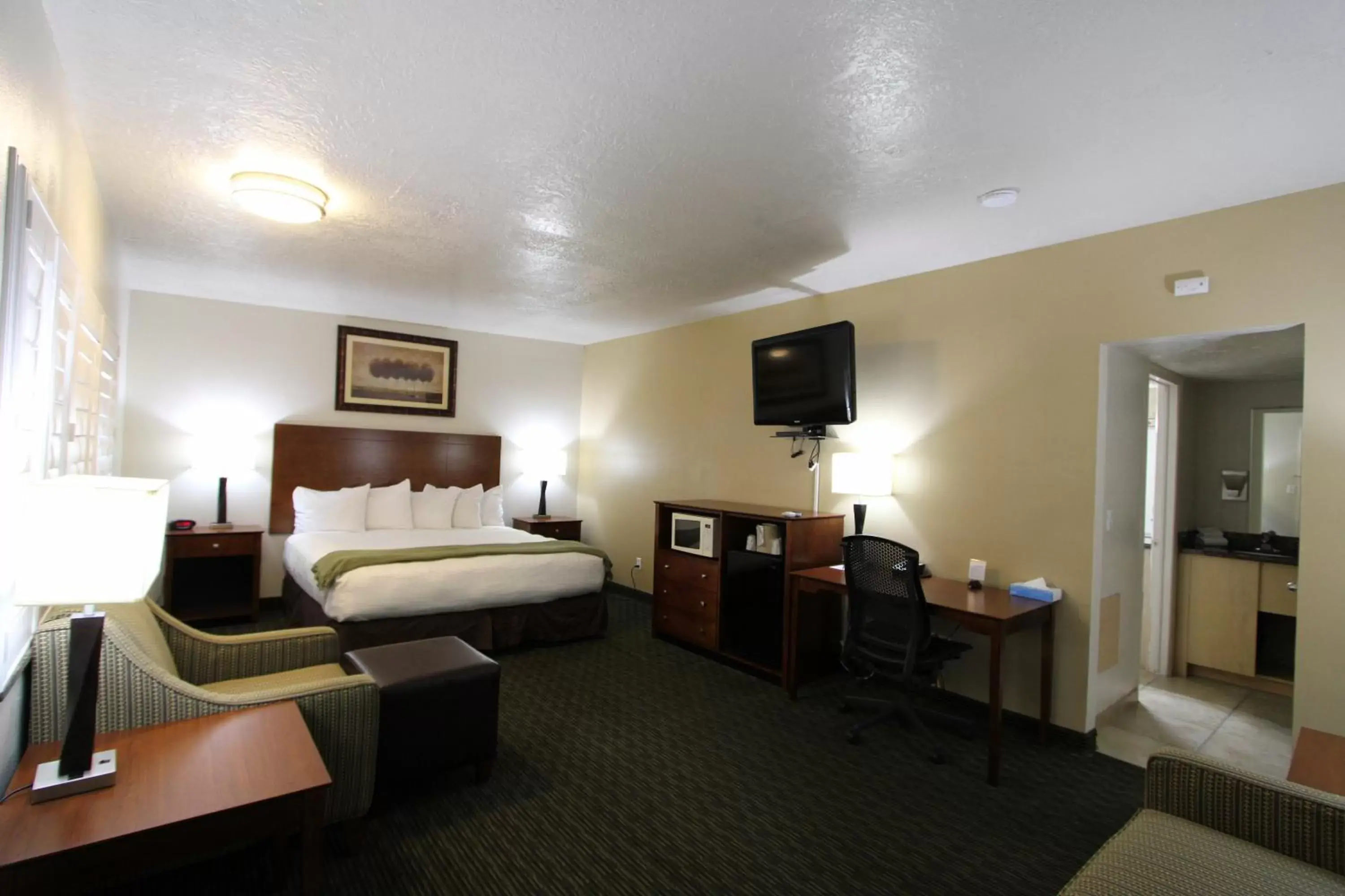 Deluxe King Room in Dinosaur Inn & Suites Deluxe King Room in Dinosaur Inn & Suites