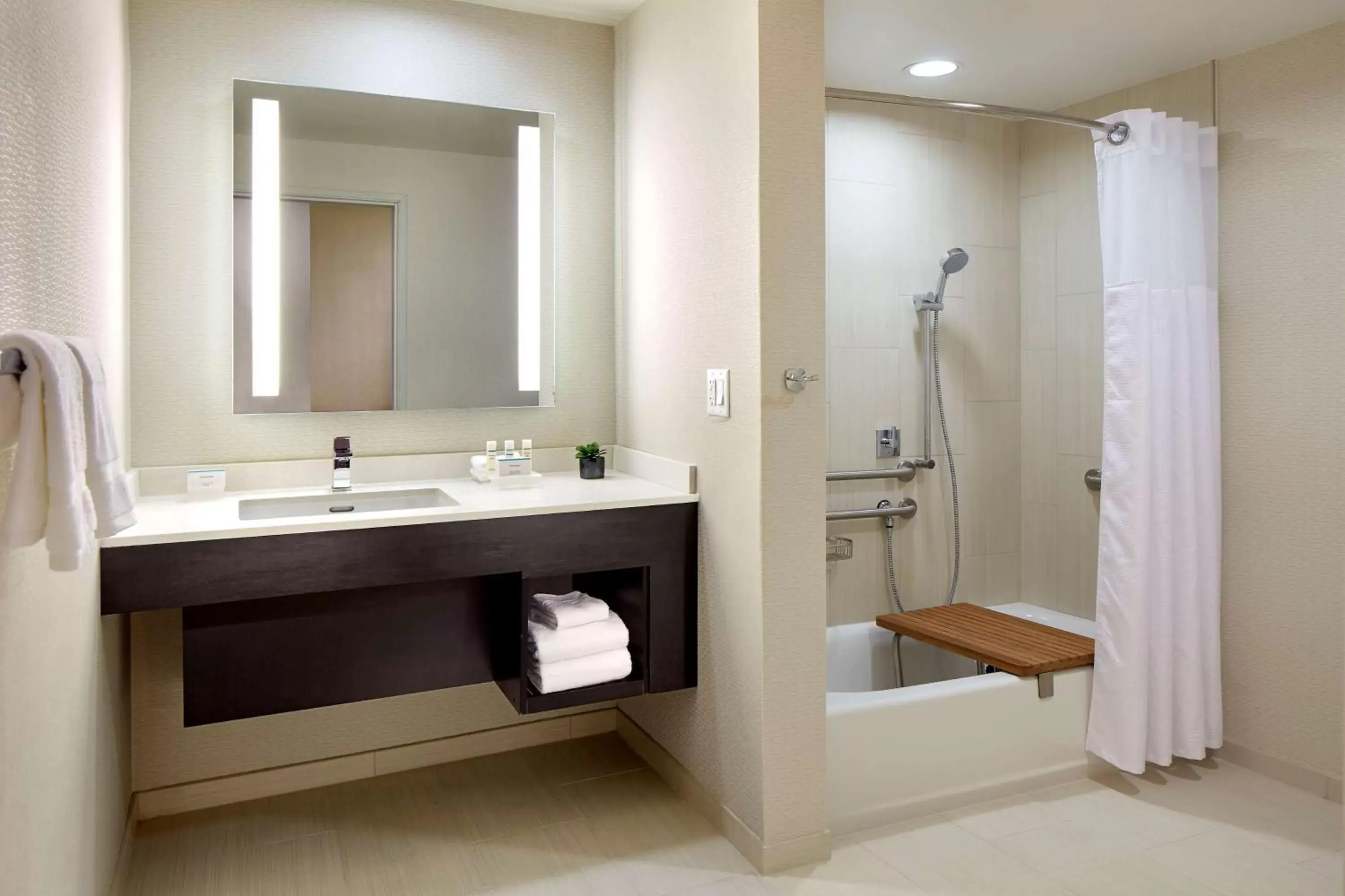 Bathroom in Homewood Suites by Hilton San Diego Downtown/Bayside