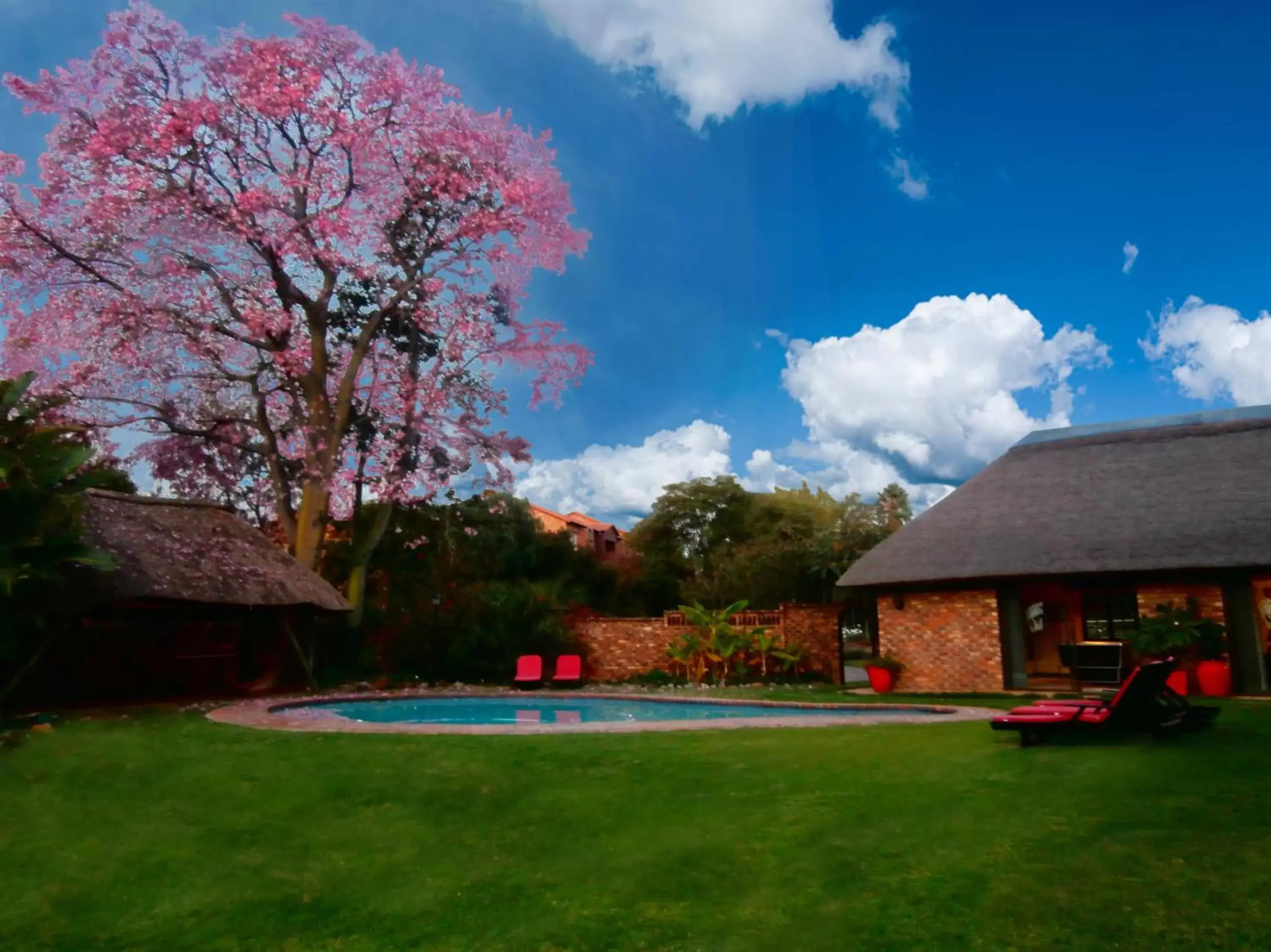 Pool view, Swimming Pool in African Footprints Lodge