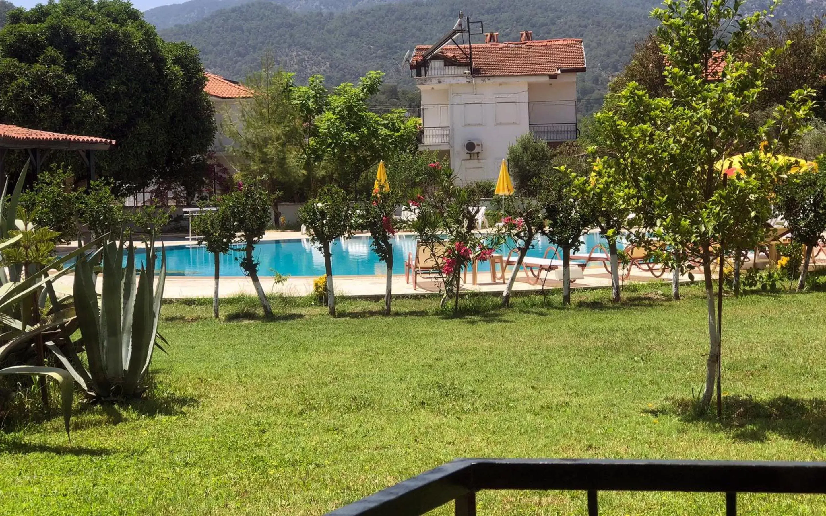 Garden, Swimming Pool in Hotel Palme Dalyan