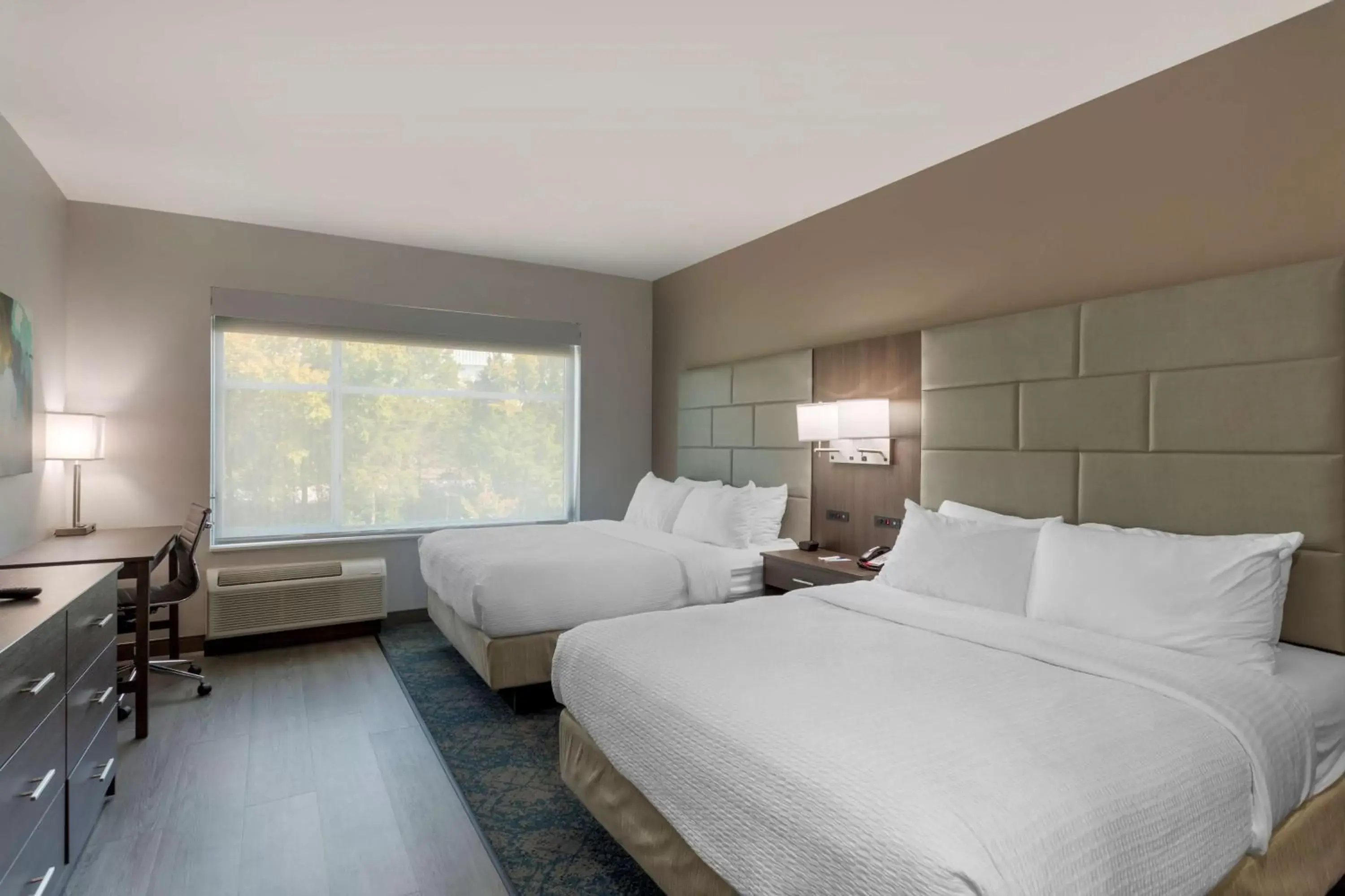 Photo of the whole room, Bed in Best Western Plus Executive Residency Antioch Inn Photo of the whole room, Bed in Best Western Plus Executive Residency Antioch Inn