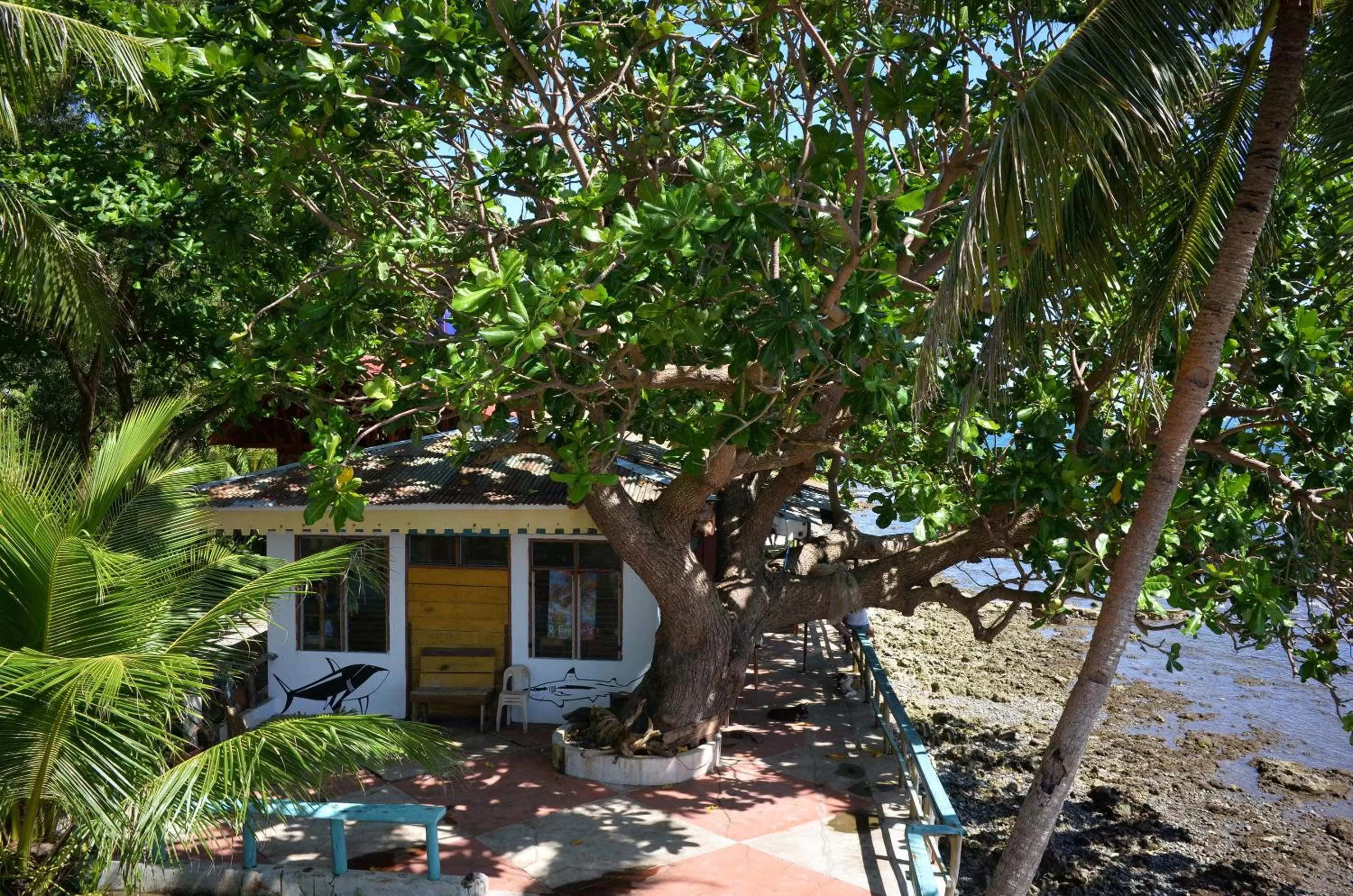 Balcony/Terrace in Paseo Del Mar Seaside Inn
