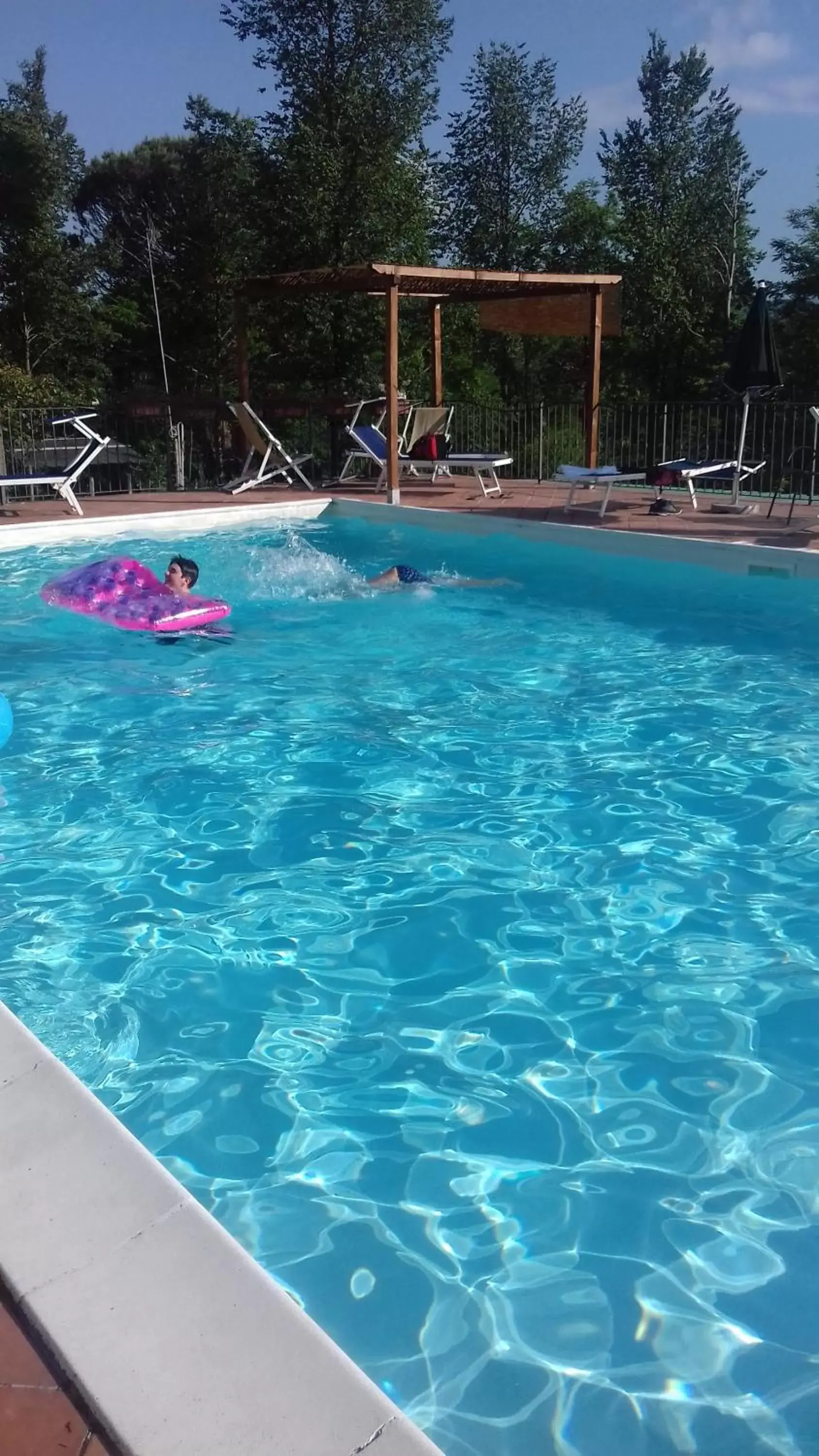 Swimming Pool in Villa Belvedere