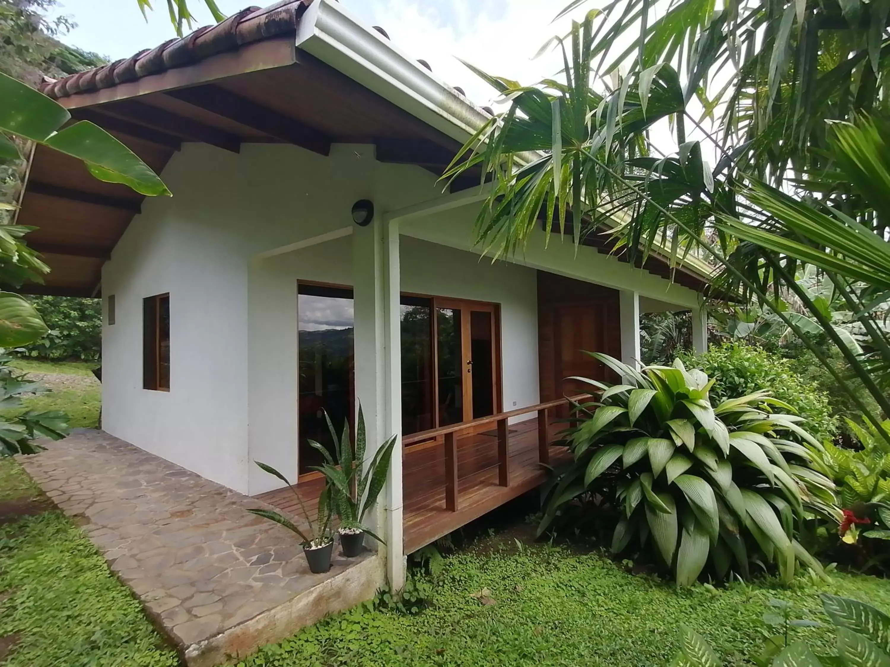Property building in La Ceiba Tree Lodge