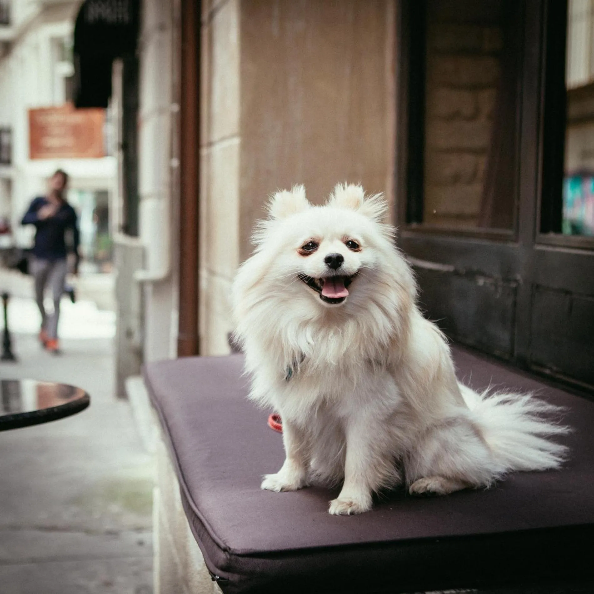 Patio in Georges Hotel Galata