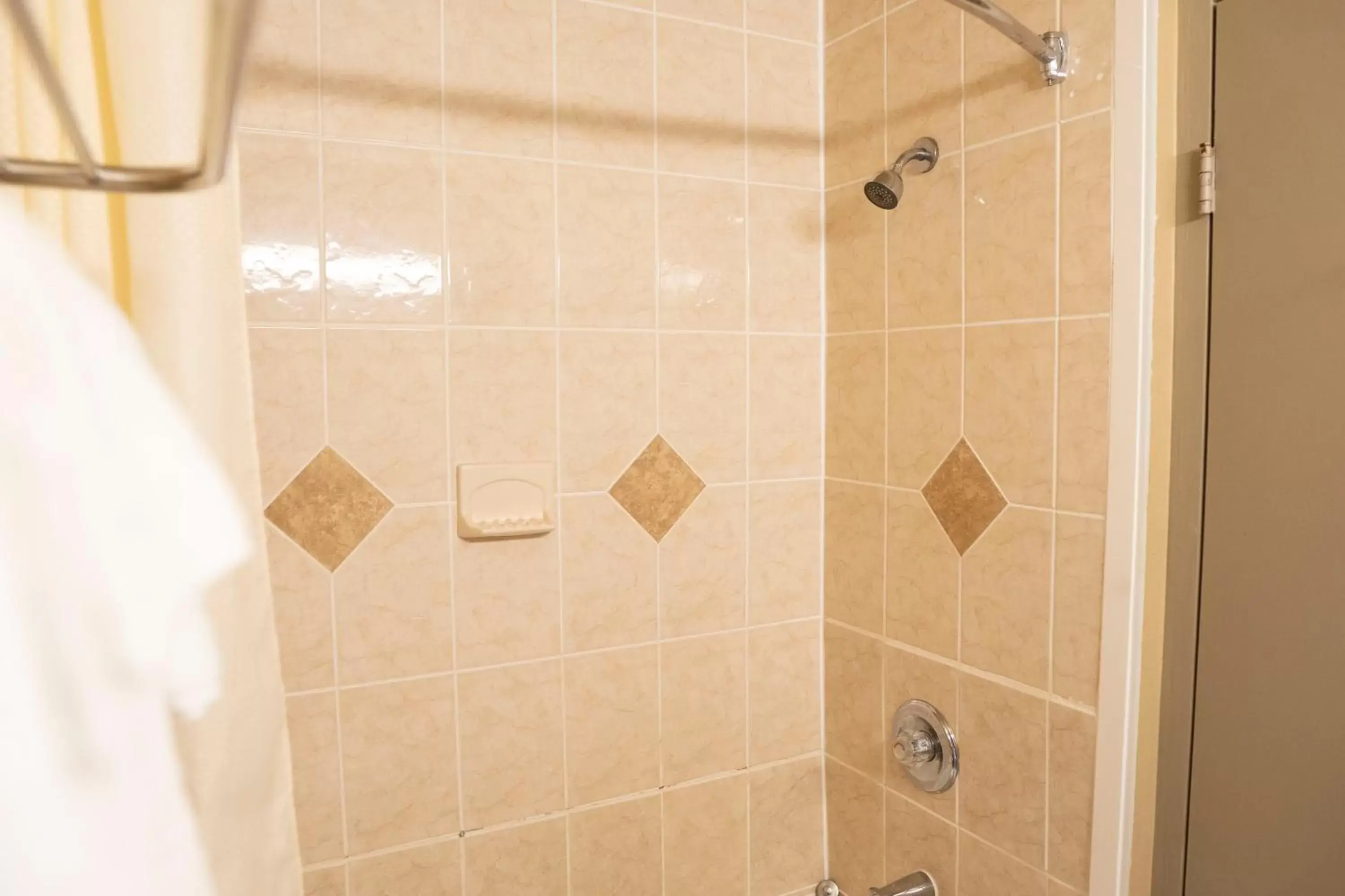 Shower, Bathroom in Framingham Inn