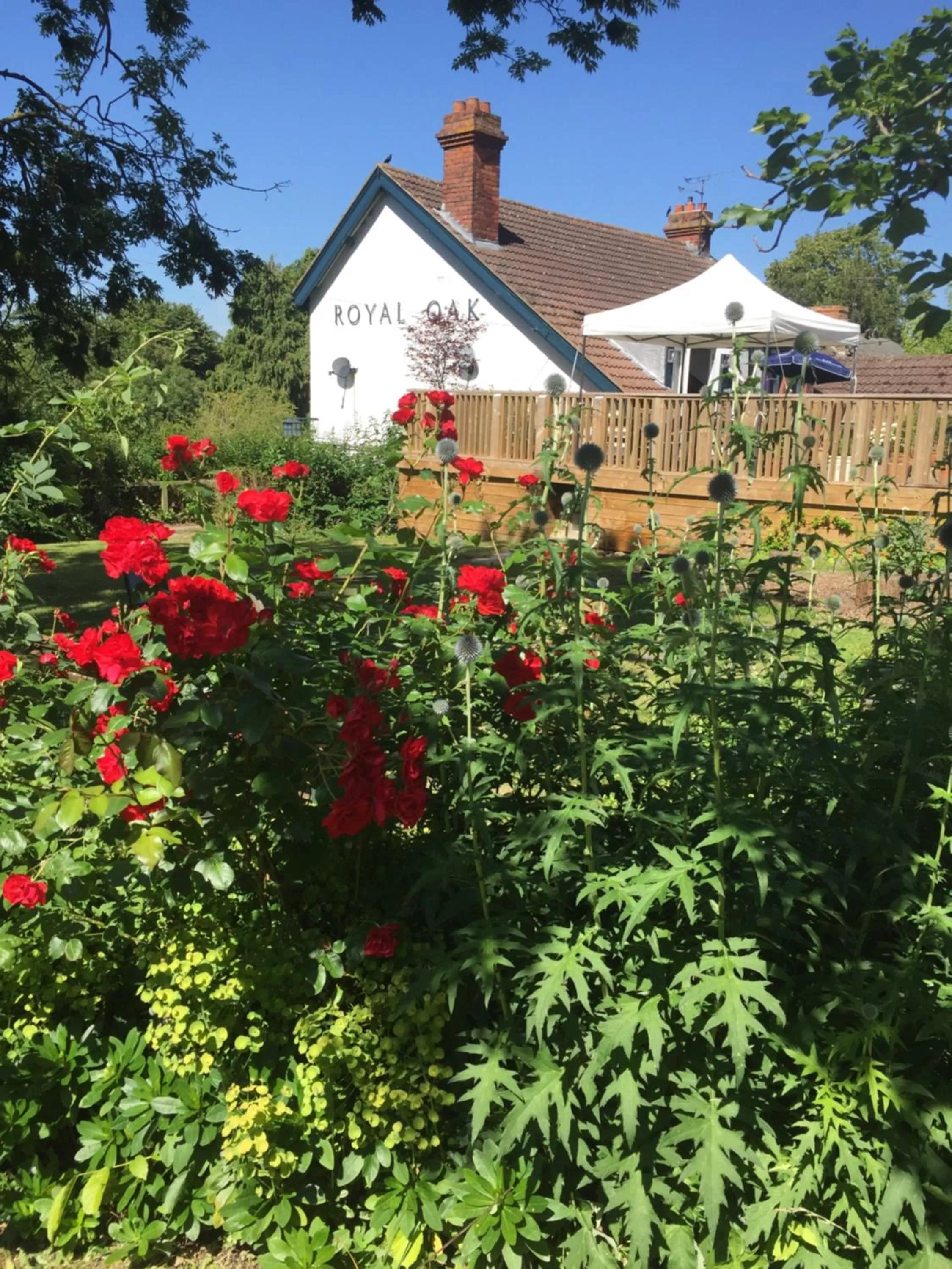 Property building in Helen Browning's Royal Oak