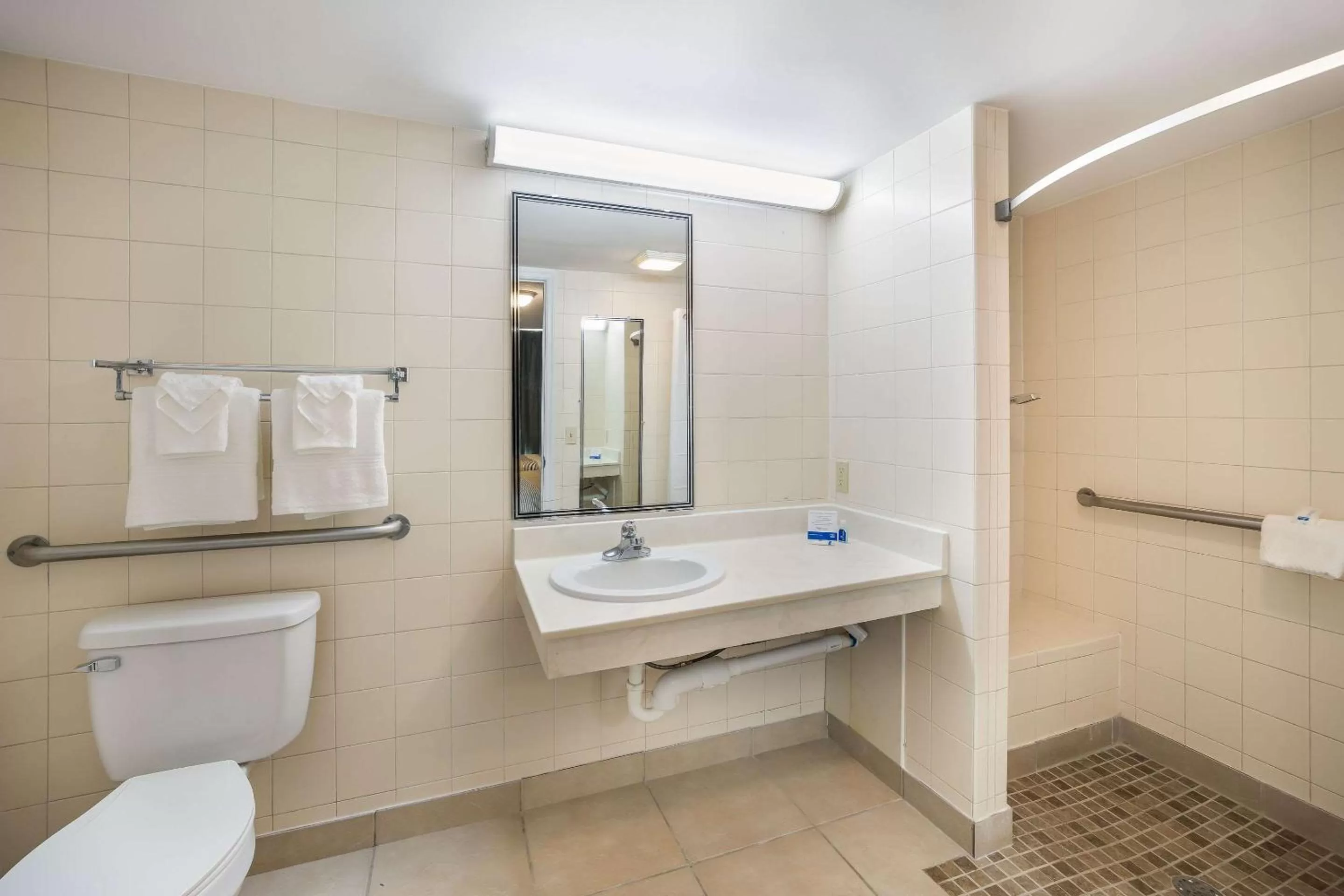 Bathroom in Rodeway Inn Cecil